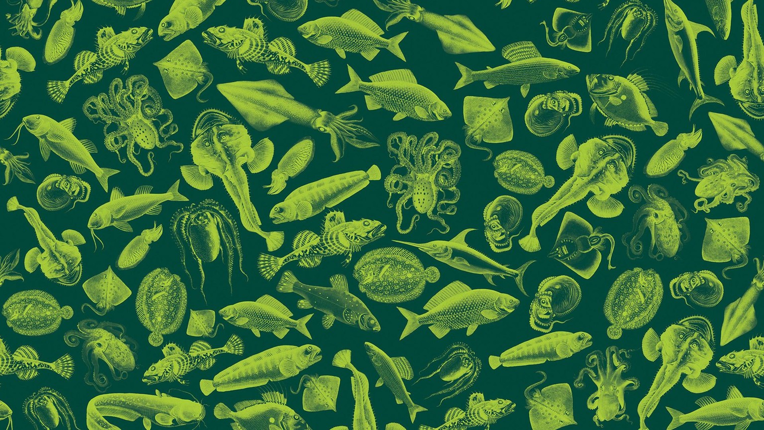 Vintage Patterns (Sample Project) - image 3 - student project