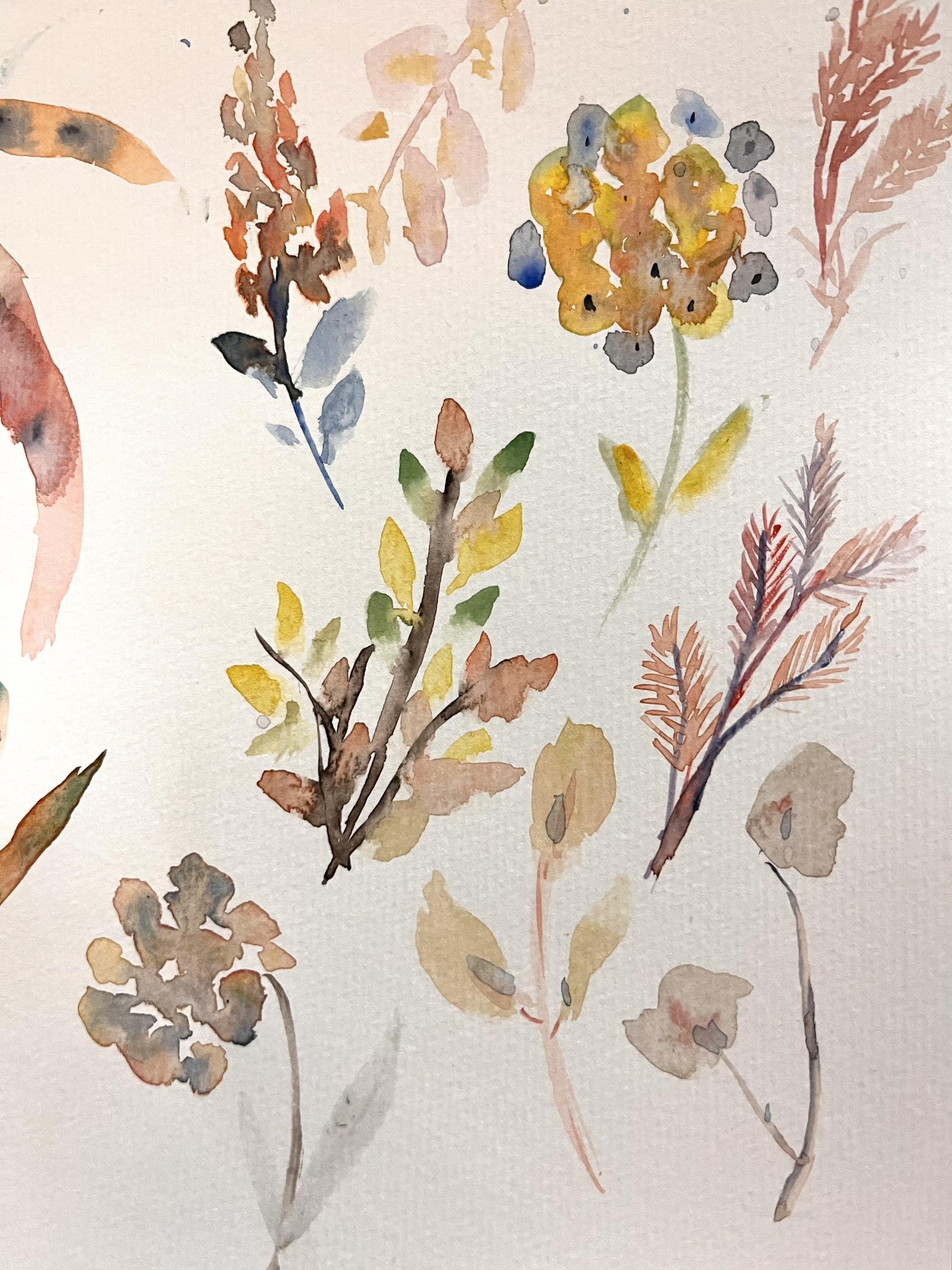 Watercolour florals - image 3 - student project
