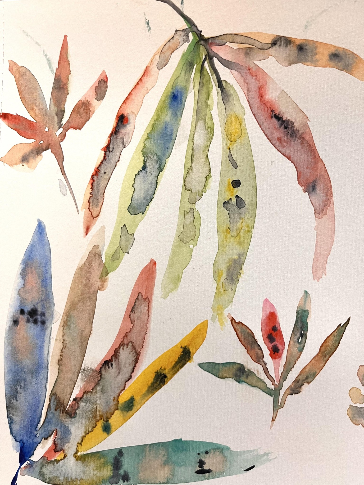 Watercolour florals - image 1 - student project