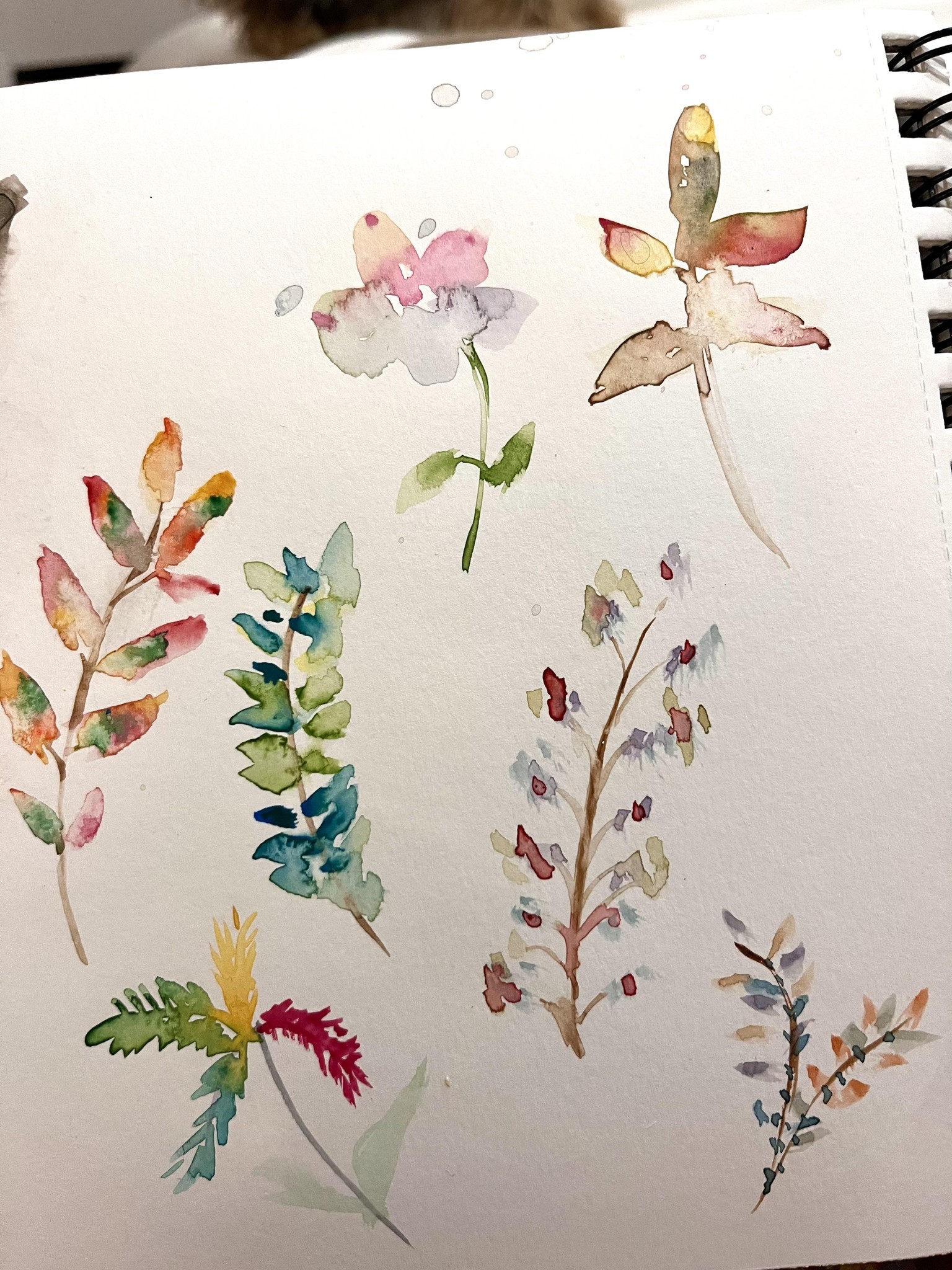 Watercolour florals - image 2 - student project