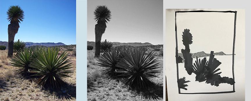 Notan sketches-west Tx. desert - image 2 - student project