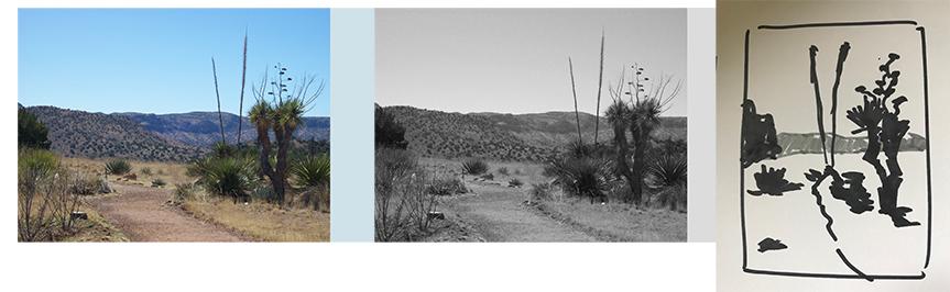Notan sketches-west Tx. desert - image 1 - student project