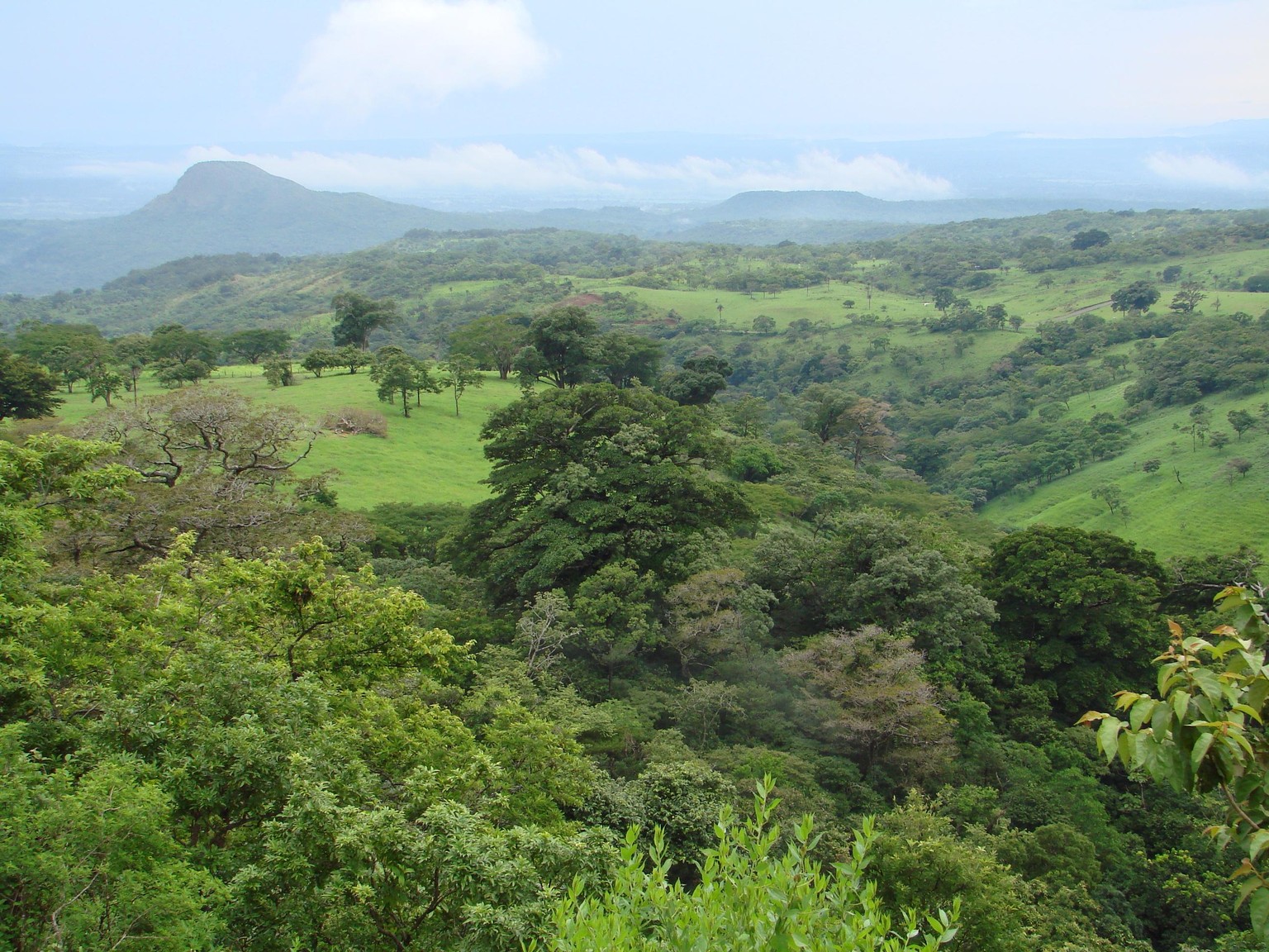 Costa Rican Landscape - image 1 - student project