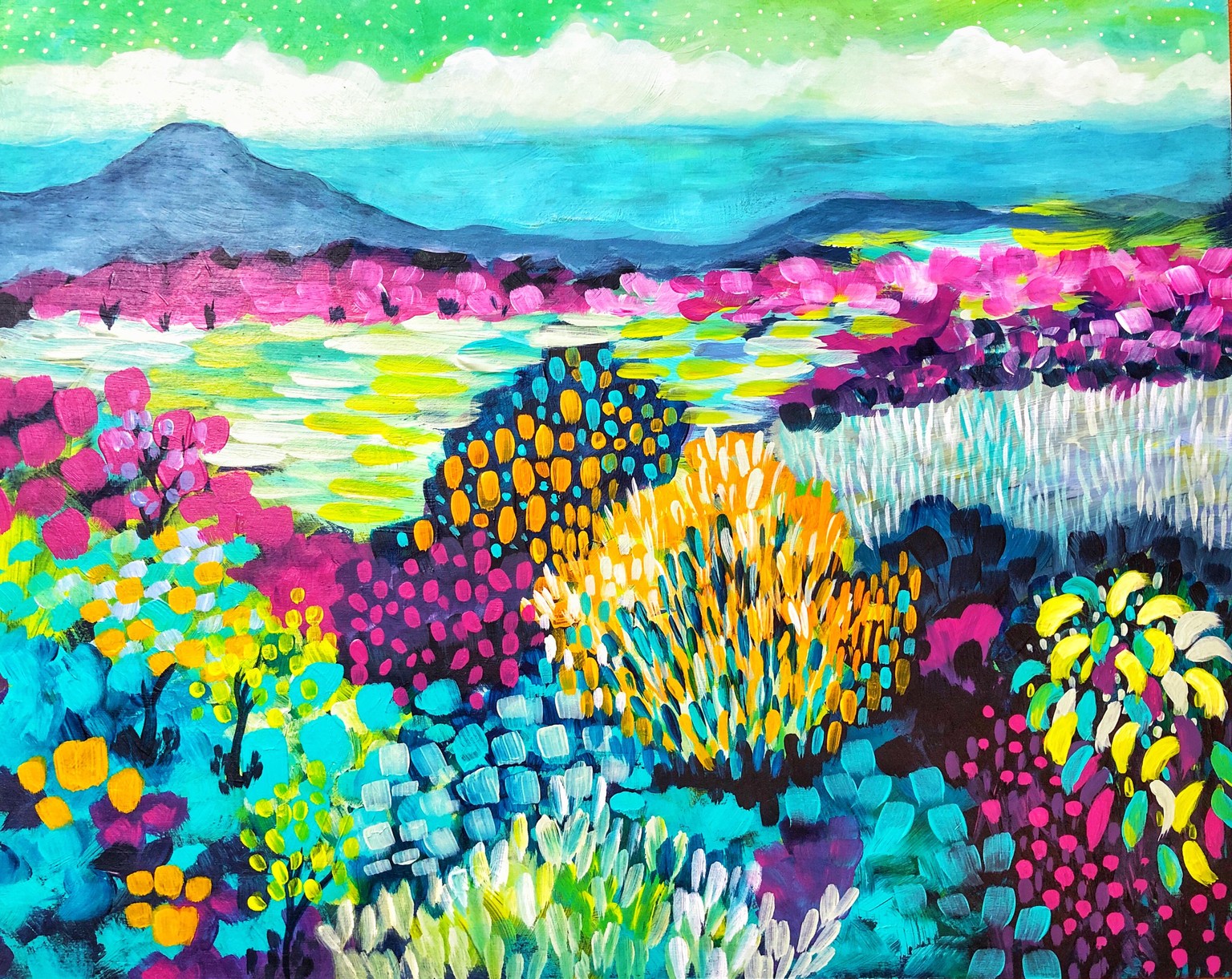 Costa Rican Landscape - image 2 - student project
