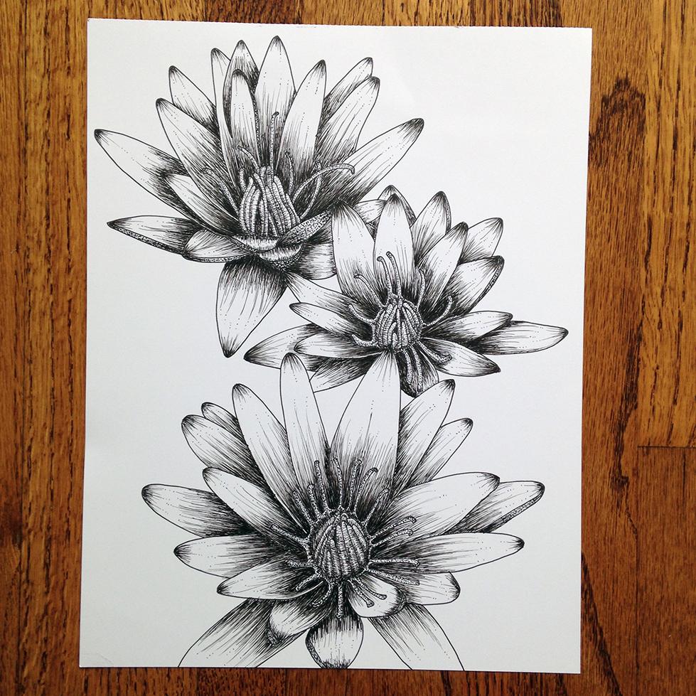 Penned Waterlilies + Poppies - image 1 - student project