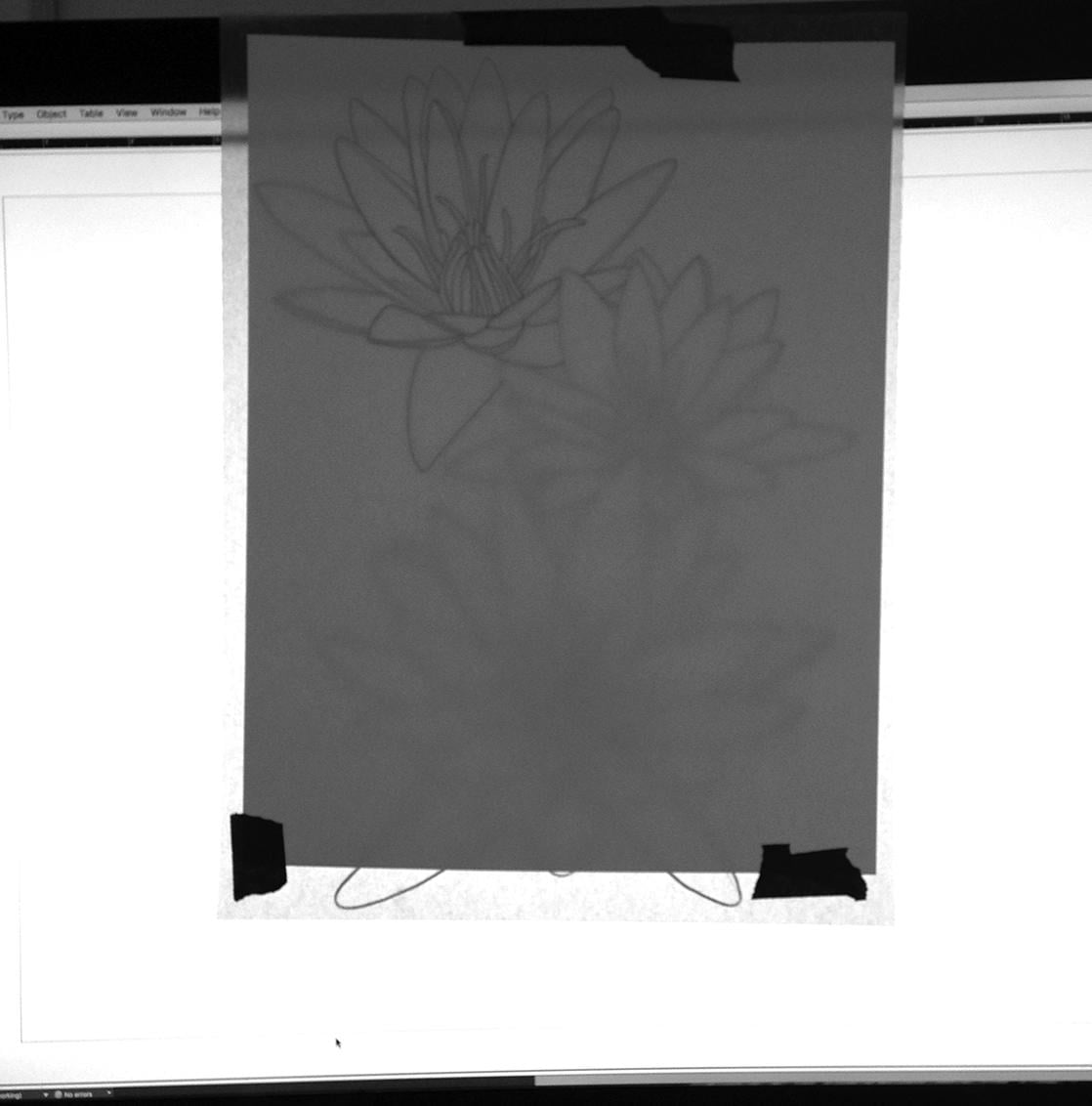 Penned Waterlilies + Poppies - image 3 - student project