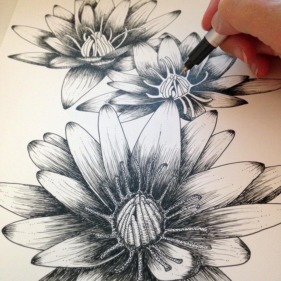 Penned Waterlilies + Poppies - image 5 - student project