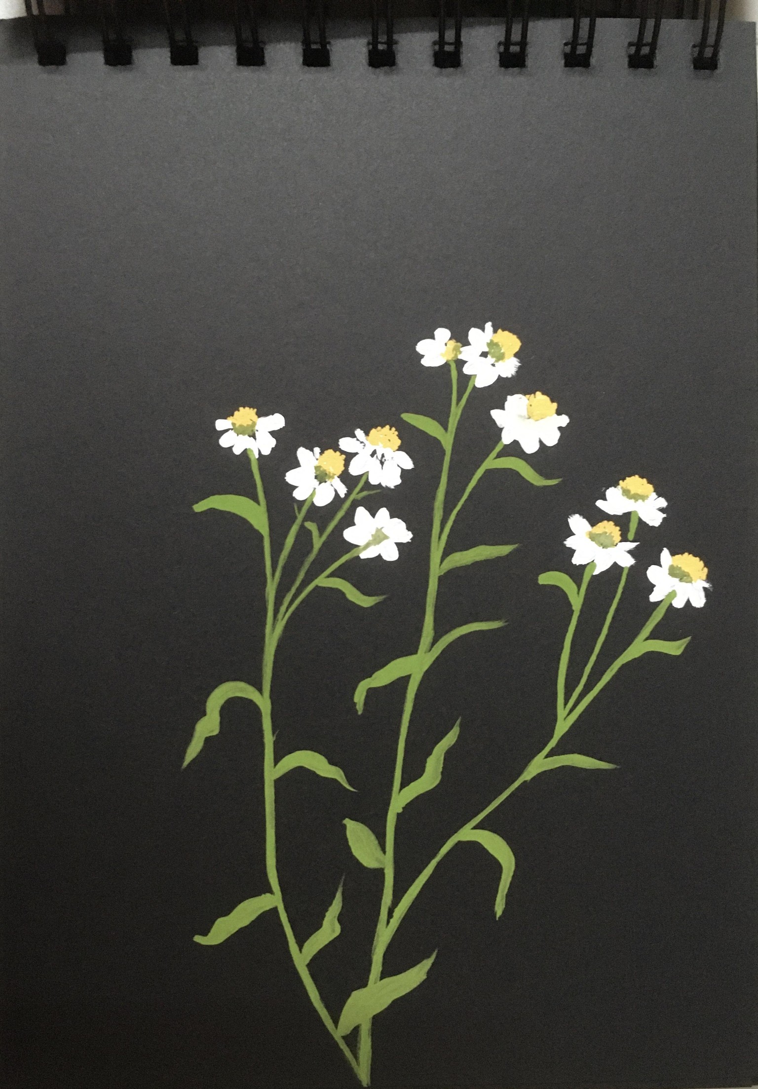 Gouache florals - image 1 - student project
