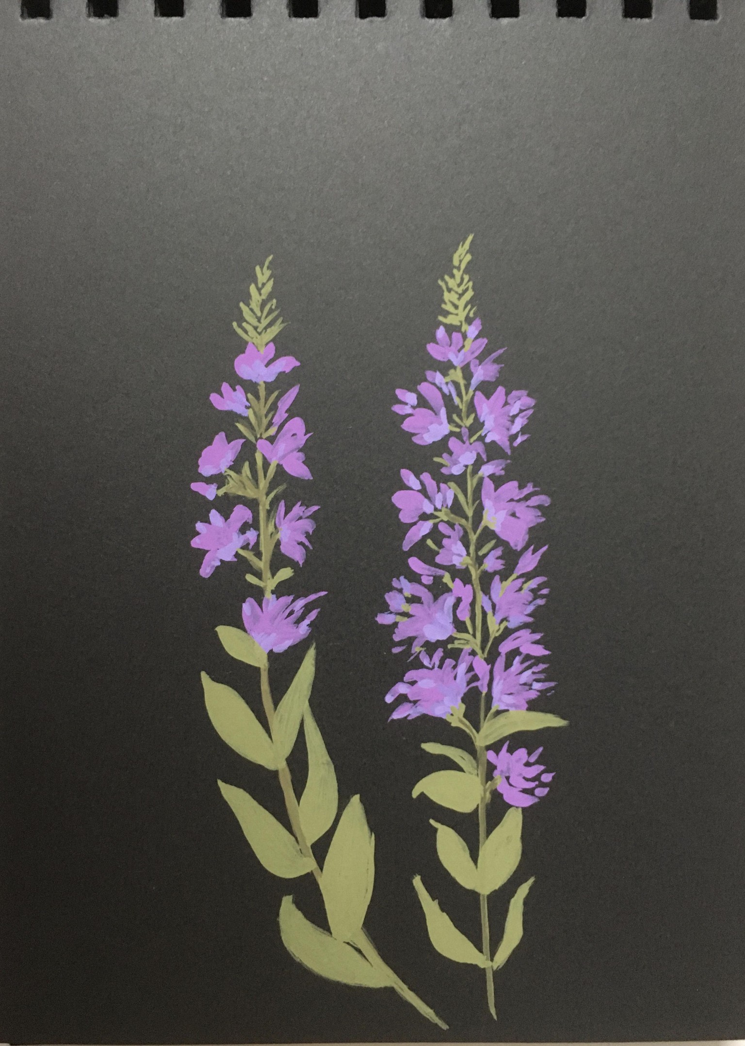 Gouache florals - image 3 - student project