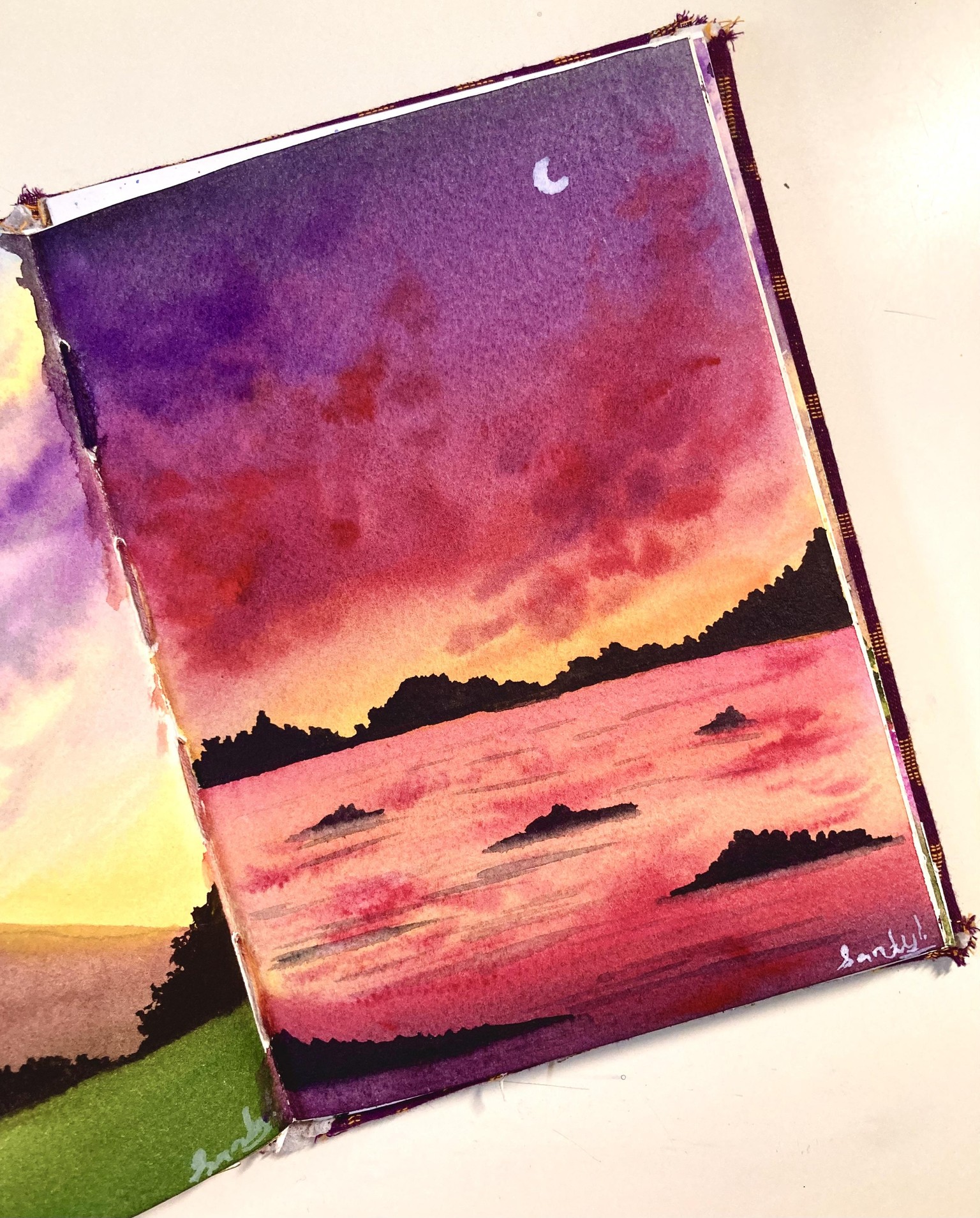 21 days of watercolours - image 14 - student project