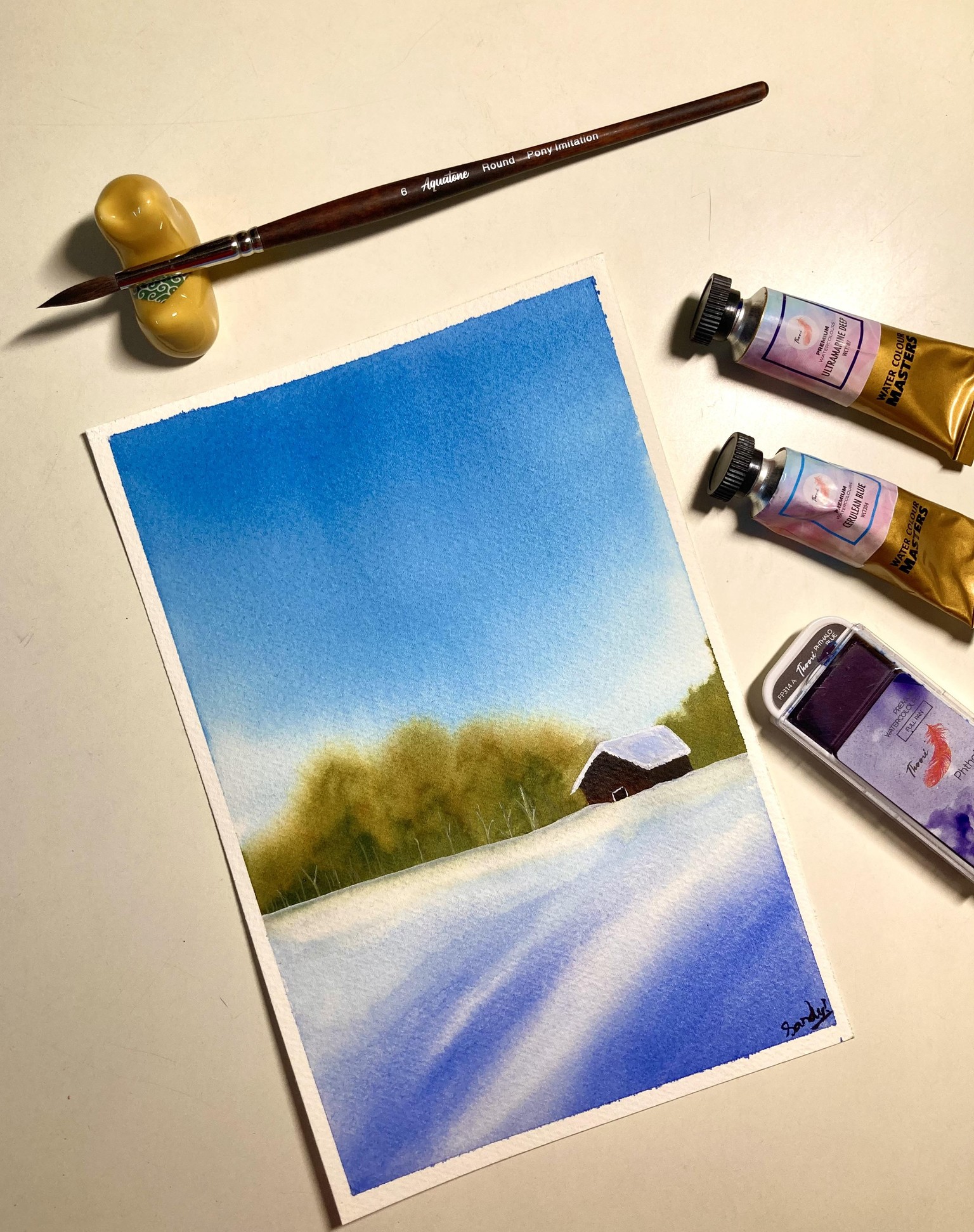 30 days watercolour challenge - image 1 - student project