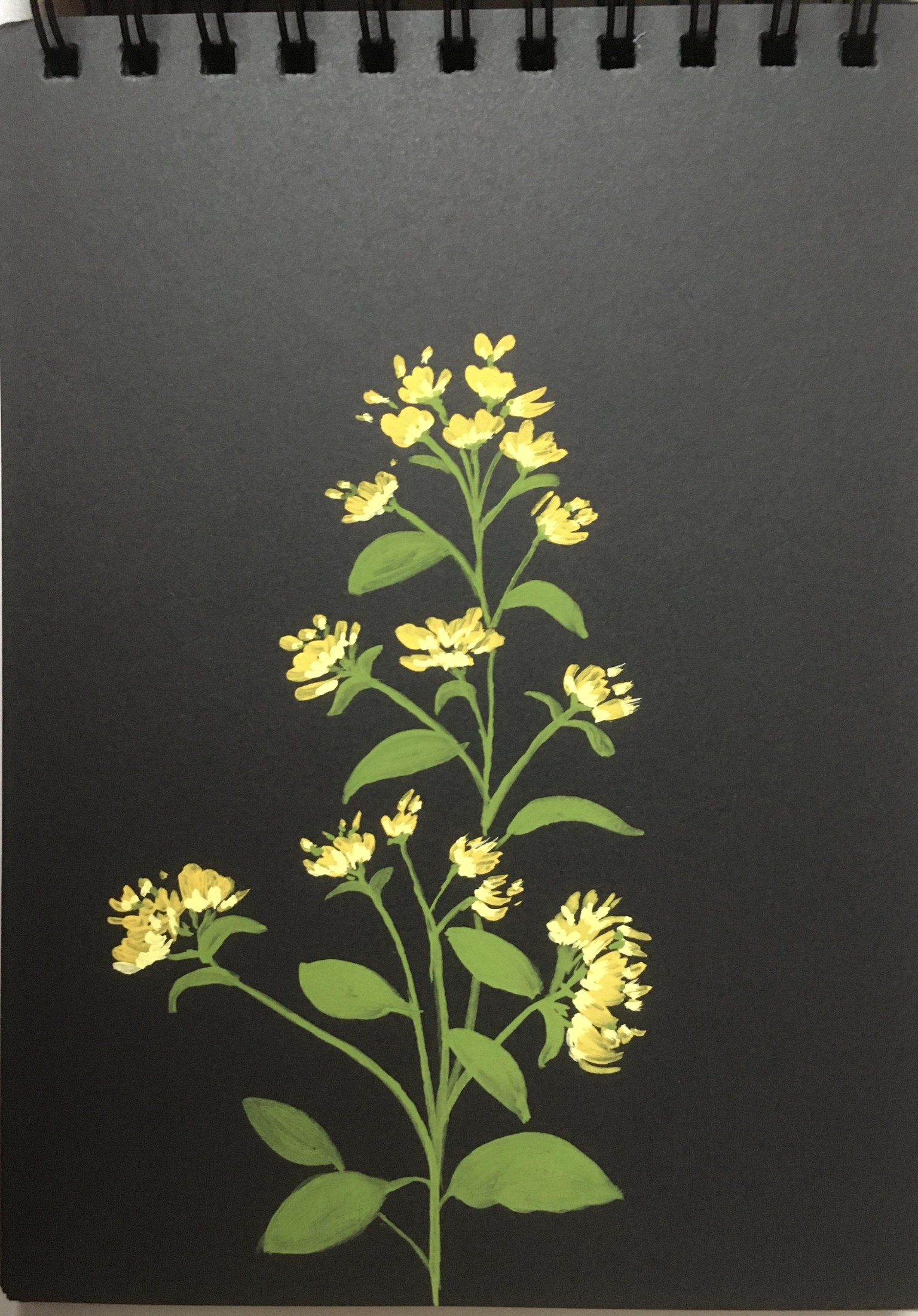 Gouache florals - image 4 - student project