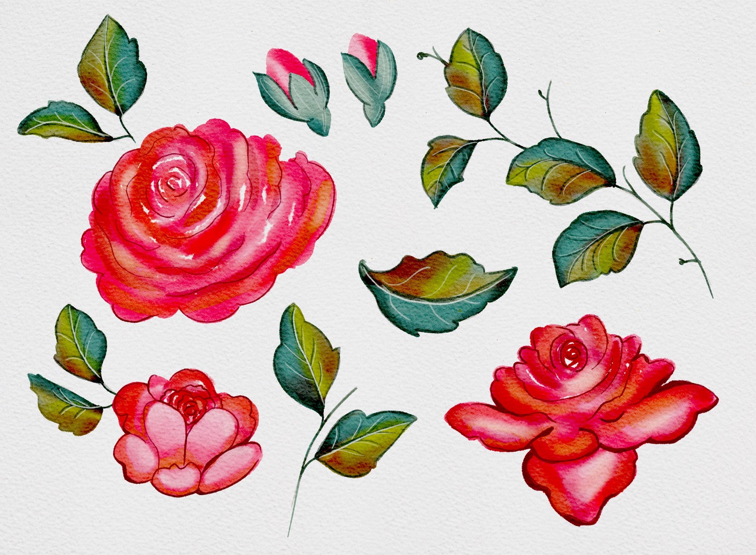 Watercolor beauty - image 6 - student project