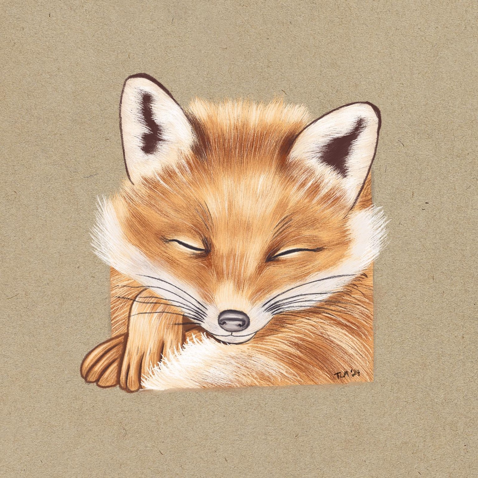 My sleeping fox - image 1 - student project