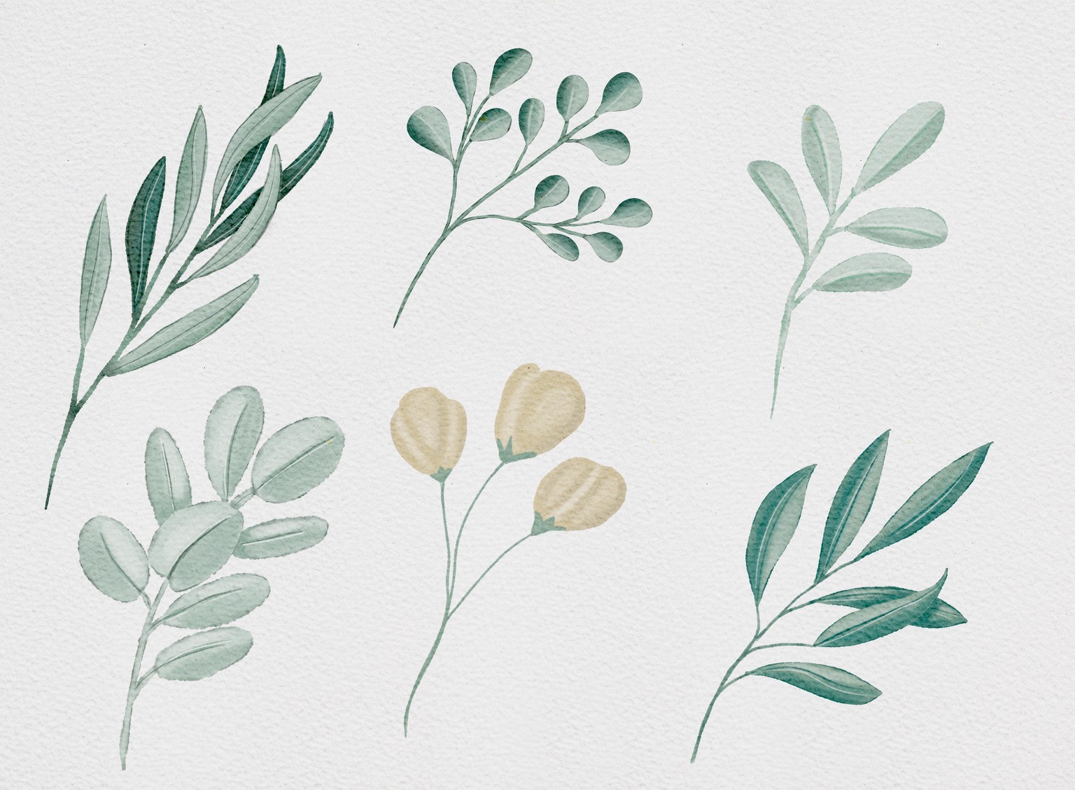 Watercolor beauty - image 4 - student project