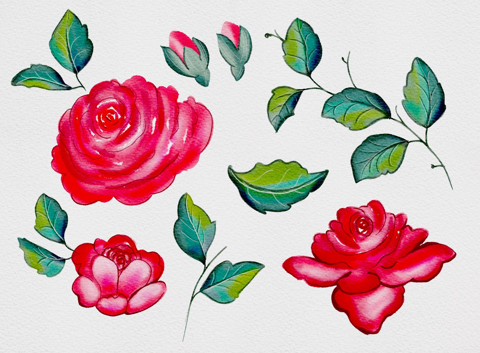 Watercolor beauty - image 2 - student project