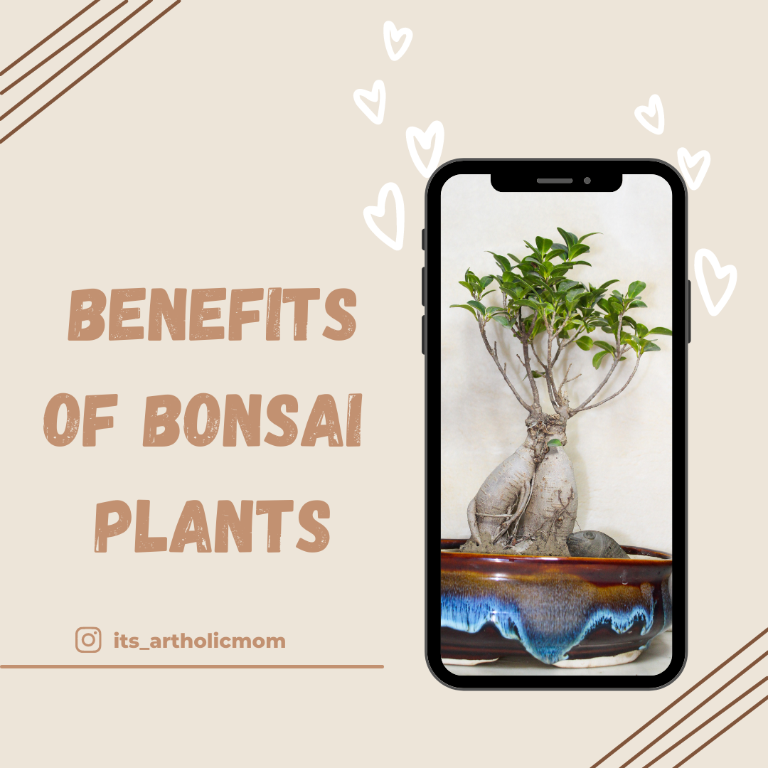 Plant and Art lover - image 2 - student project