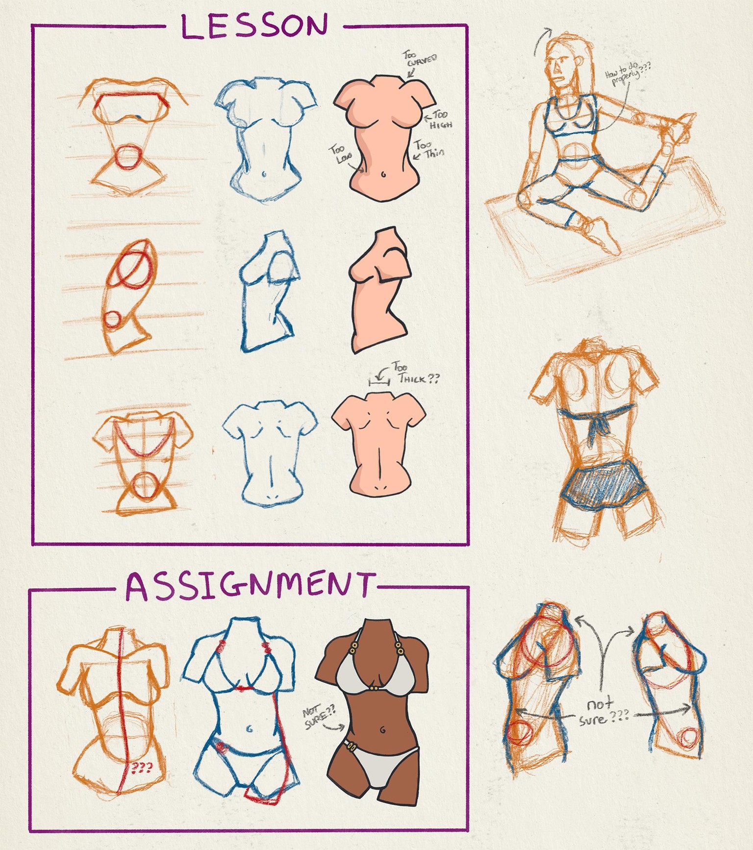 Assignment: Draw the Female Torso - image 1 - student project