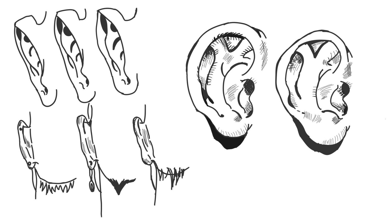 I'm all ears. - image 2 - student project