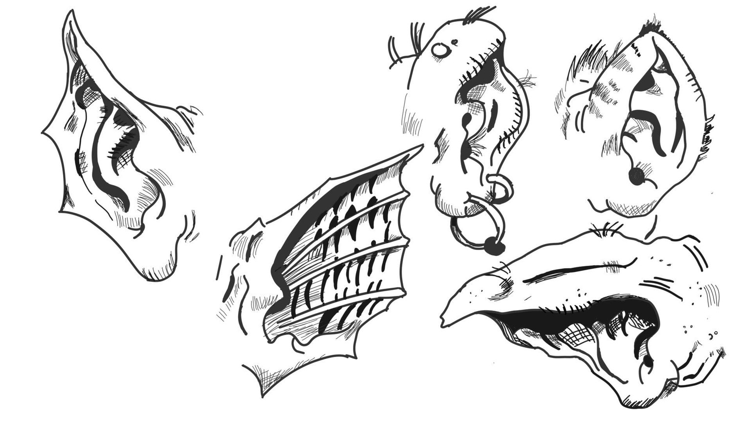 I'm all ears. - image 3 - student project