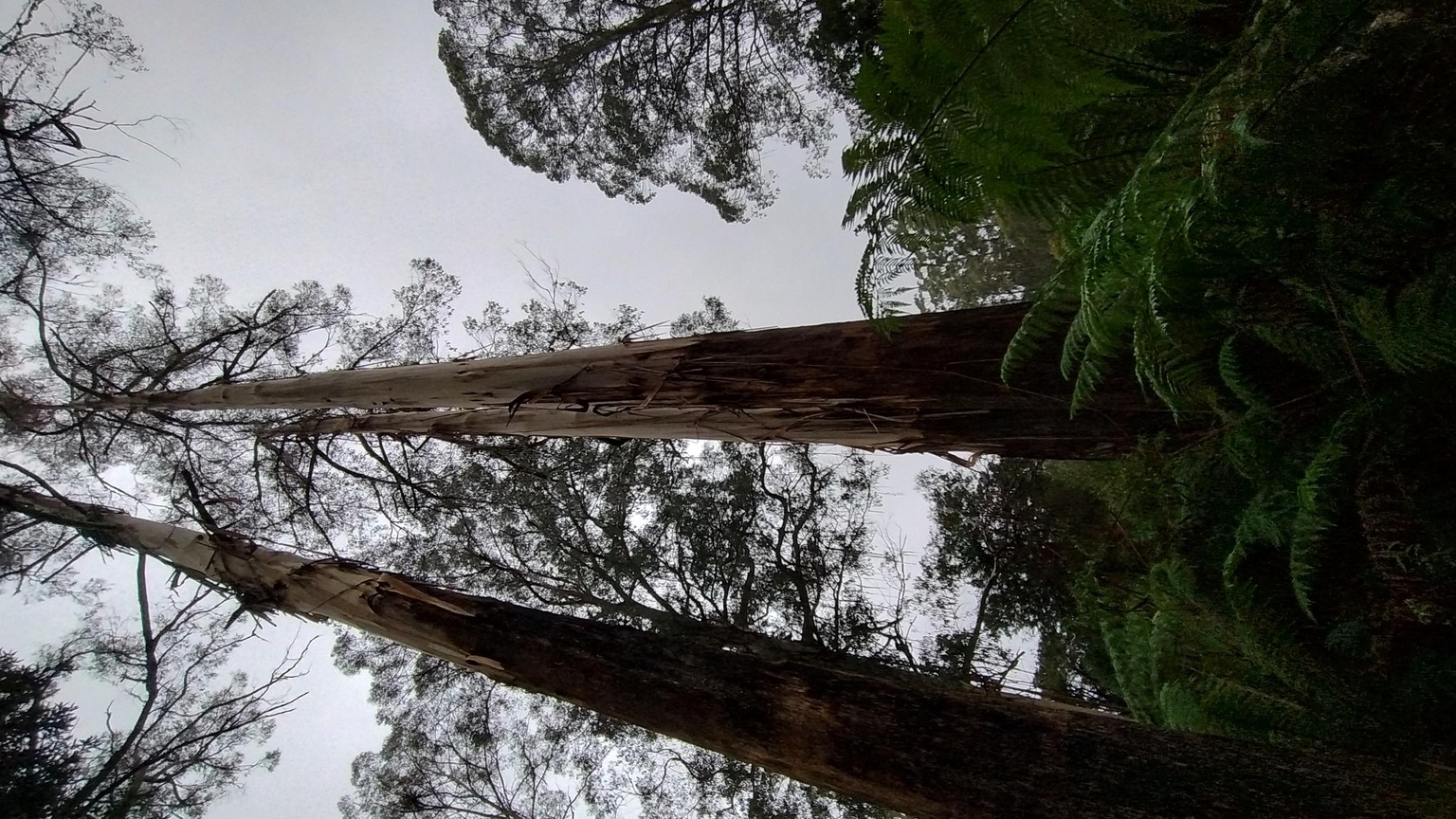 A Day of Hiking - image 4 - student project