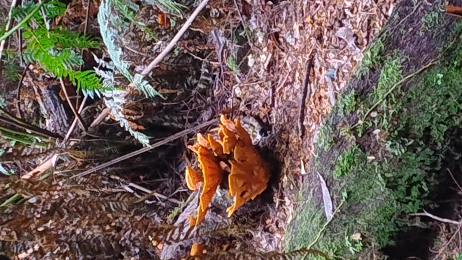 A Day of Hiking - image 3 - student project