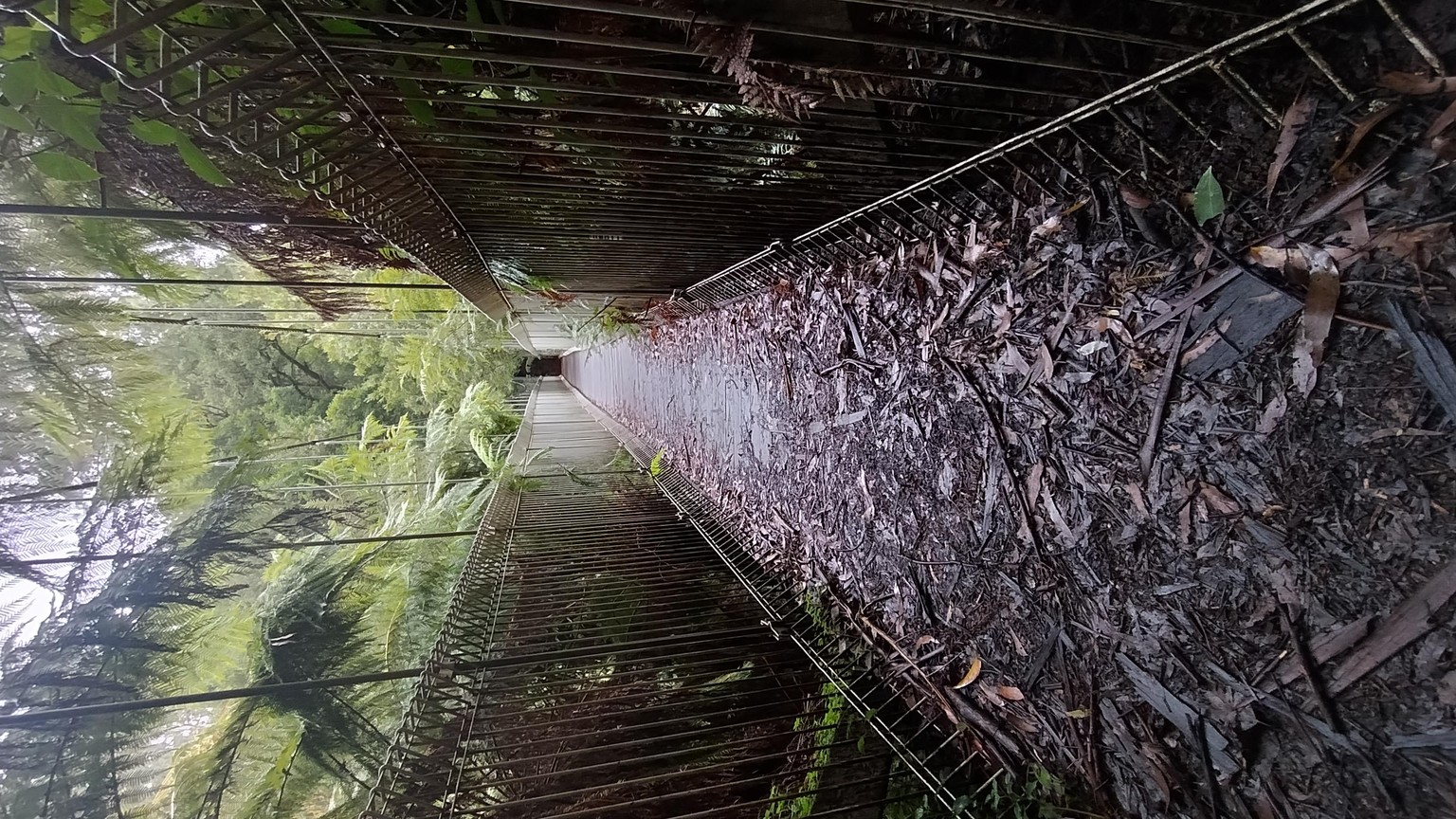 A Day of Hiking - image 2 - student project