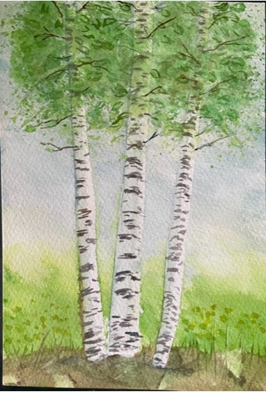 White Birch Tree - image 1 - student project