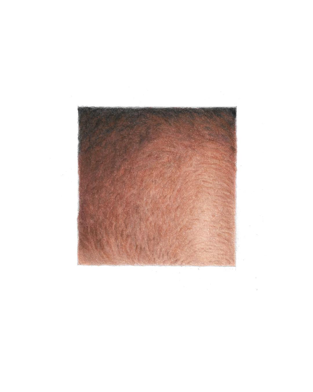 Skin Texture with Colored Pencil - image 2 - student project