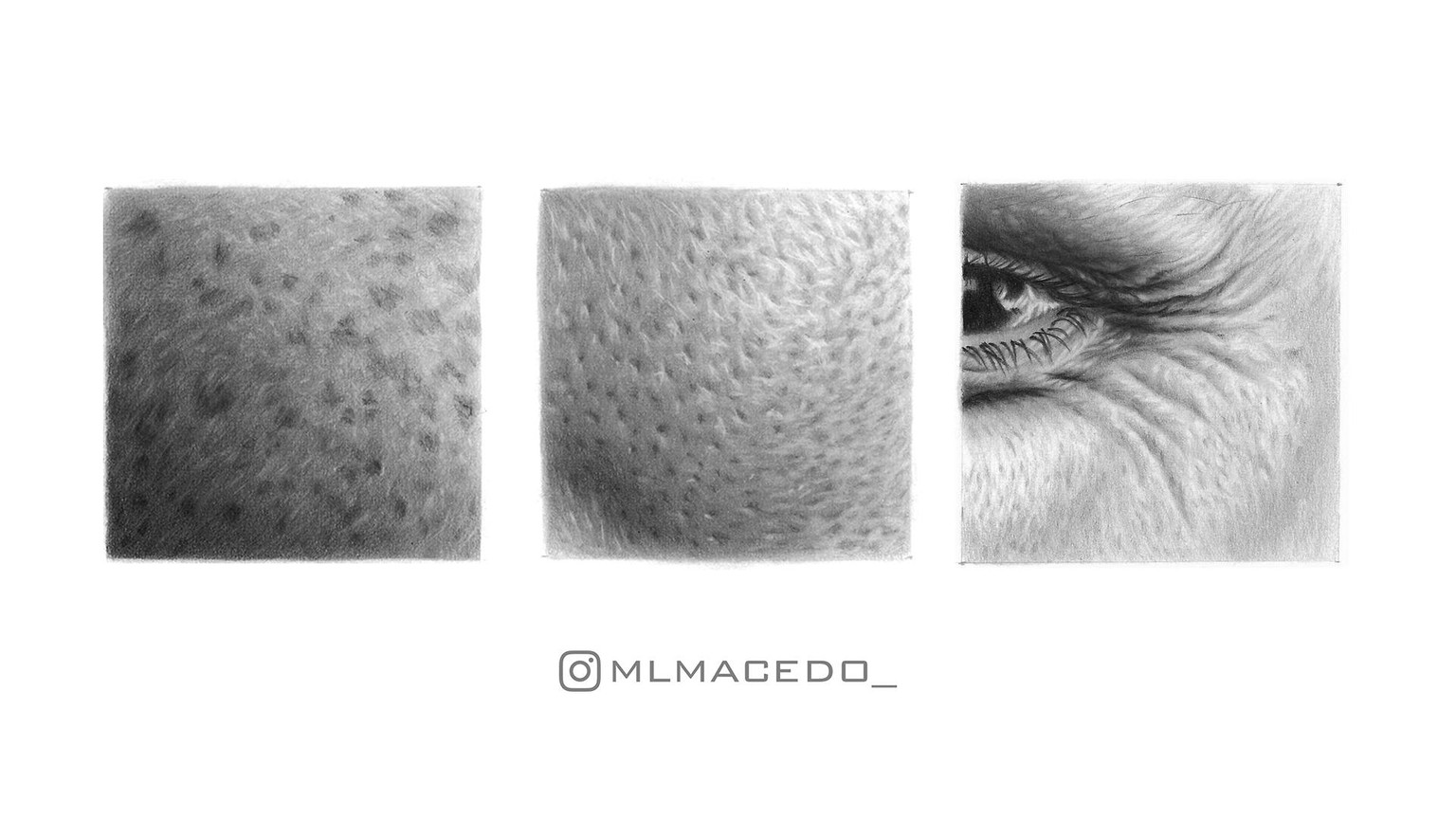 Realistic Skin Texture - image 2 - student project