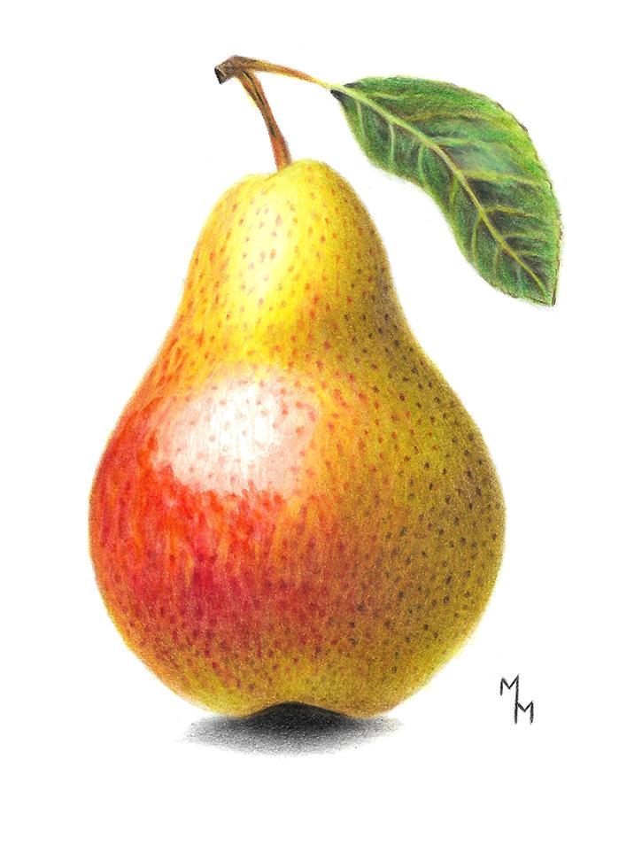 Pear - image 1 - student project