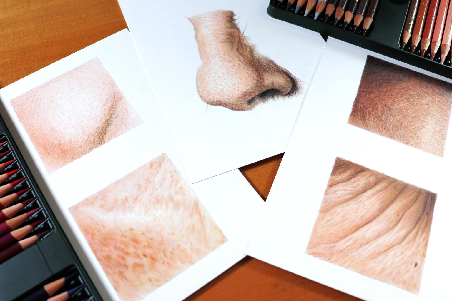 Skin Texture with Colored Pencil - image 6 - student project