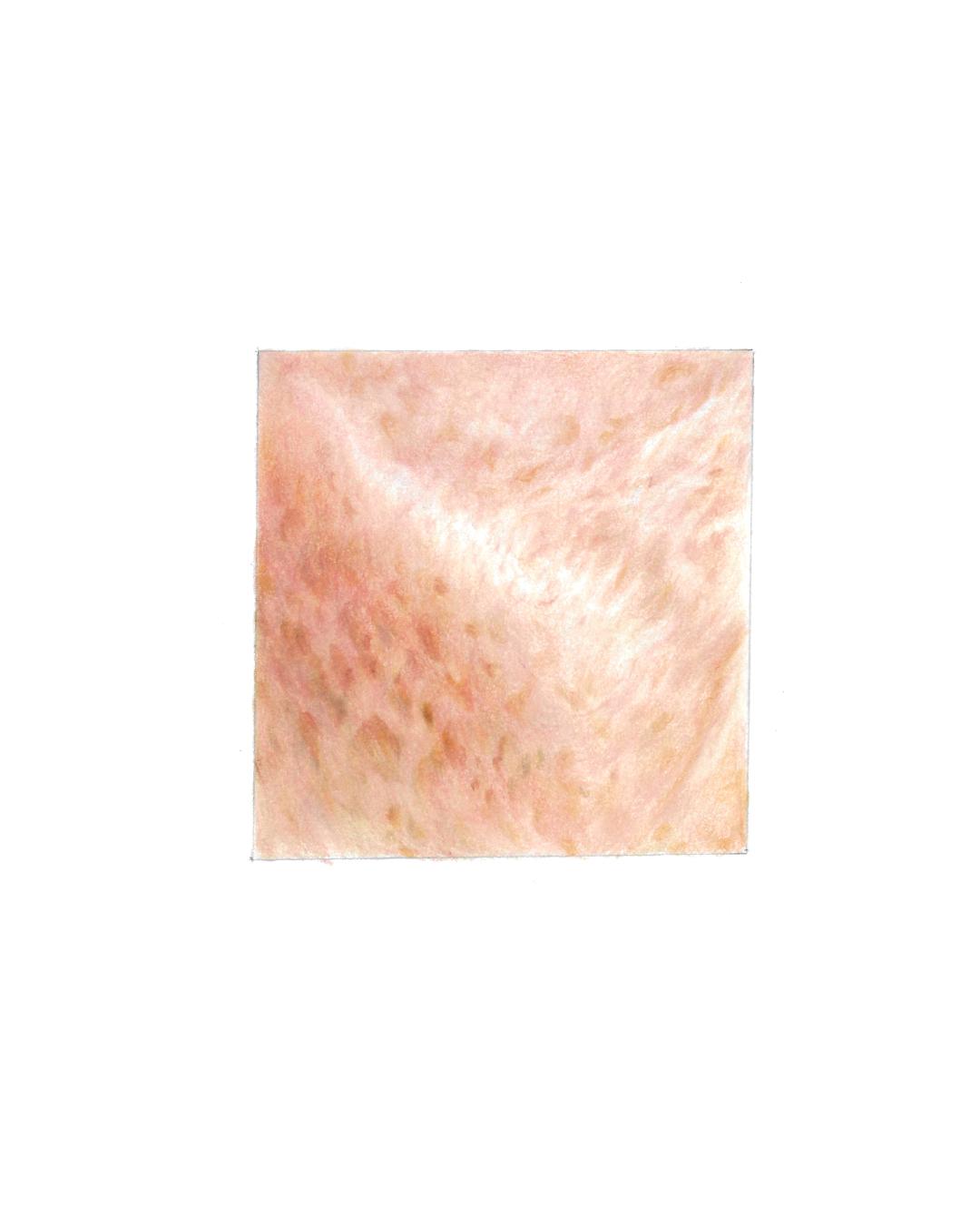 Skin Texture with Colored Pencil - image 3 - student project