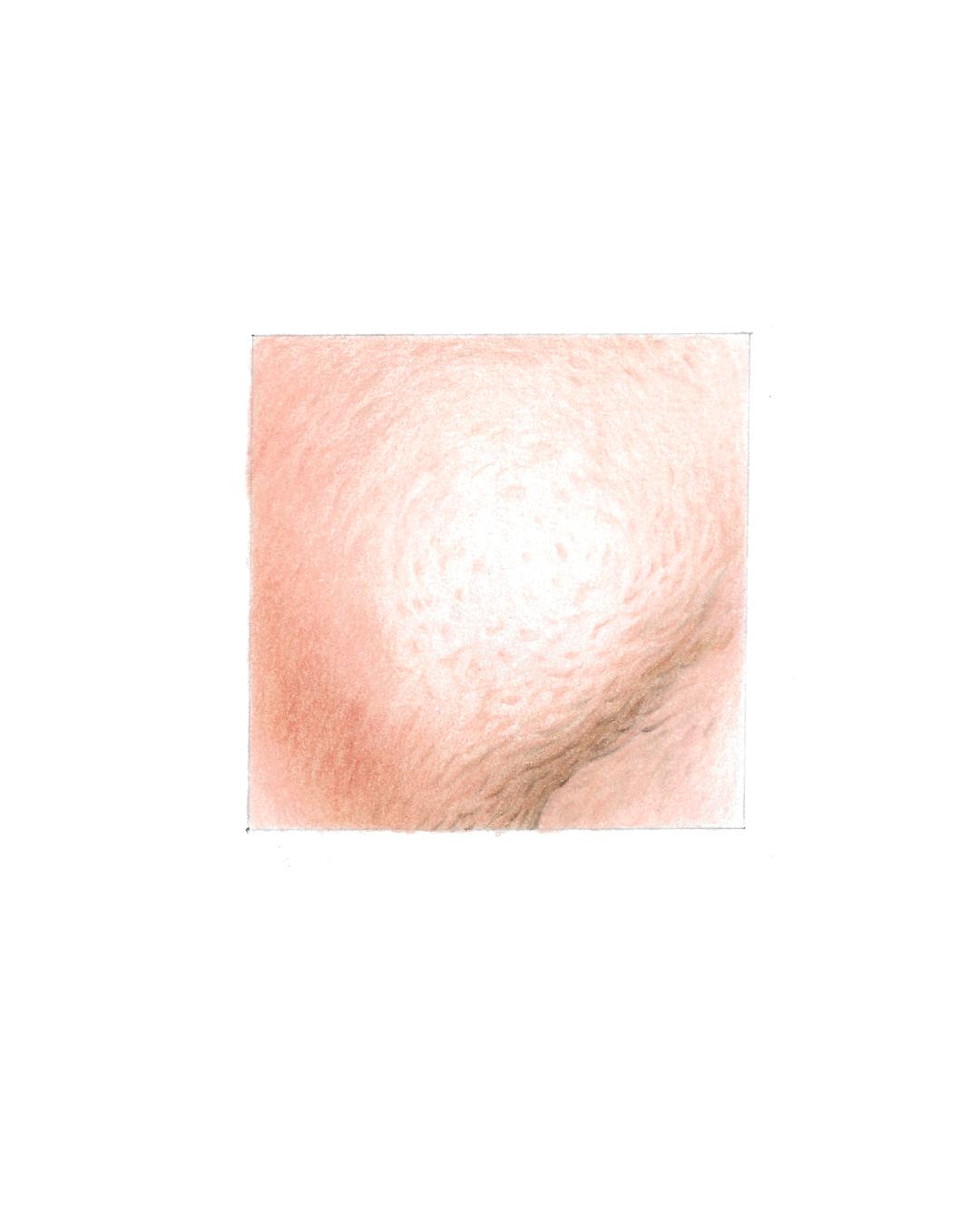 Skin Texture with Colored Pencil - image 1 - student project