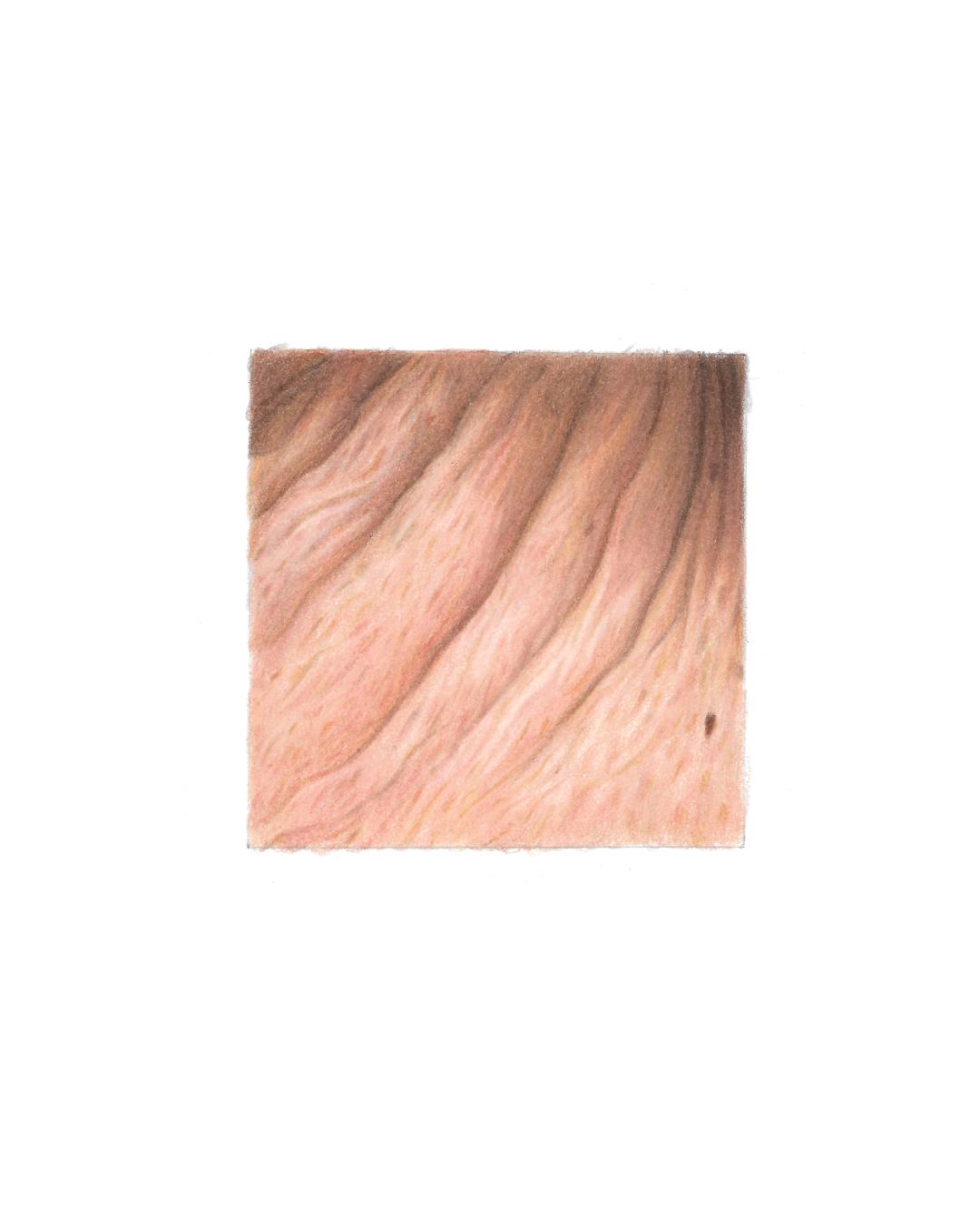 Skin Texture with Colored Pencil - image 4 - student project