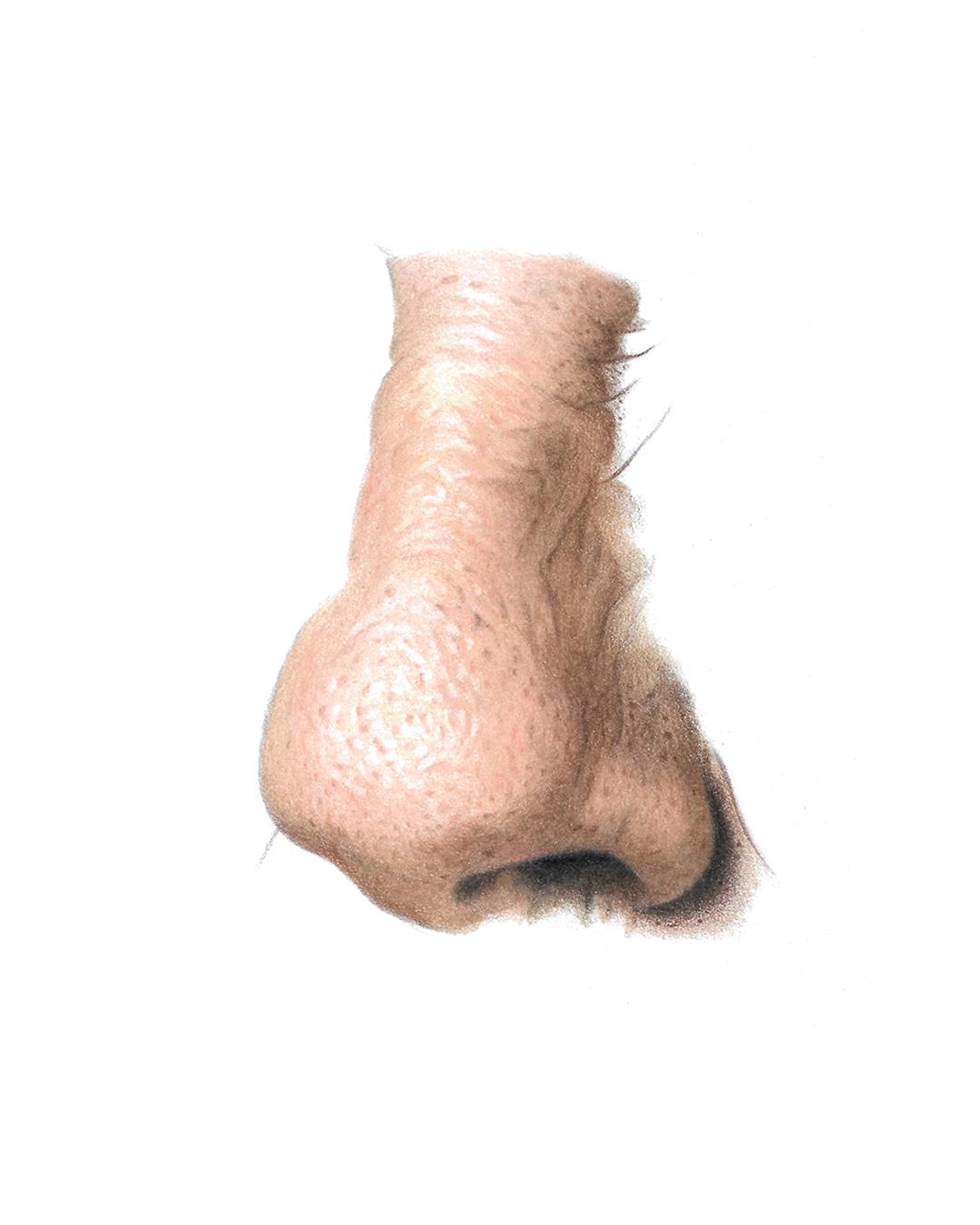 Skin Texture with Colored Pencil - image 5 - student project