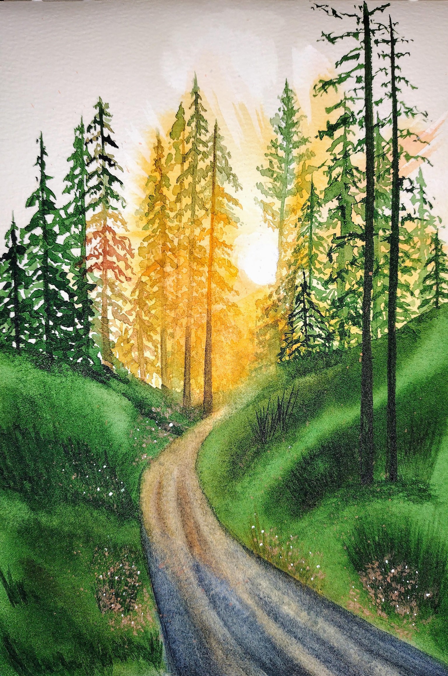 Sunlight practice study - image 1 - student project