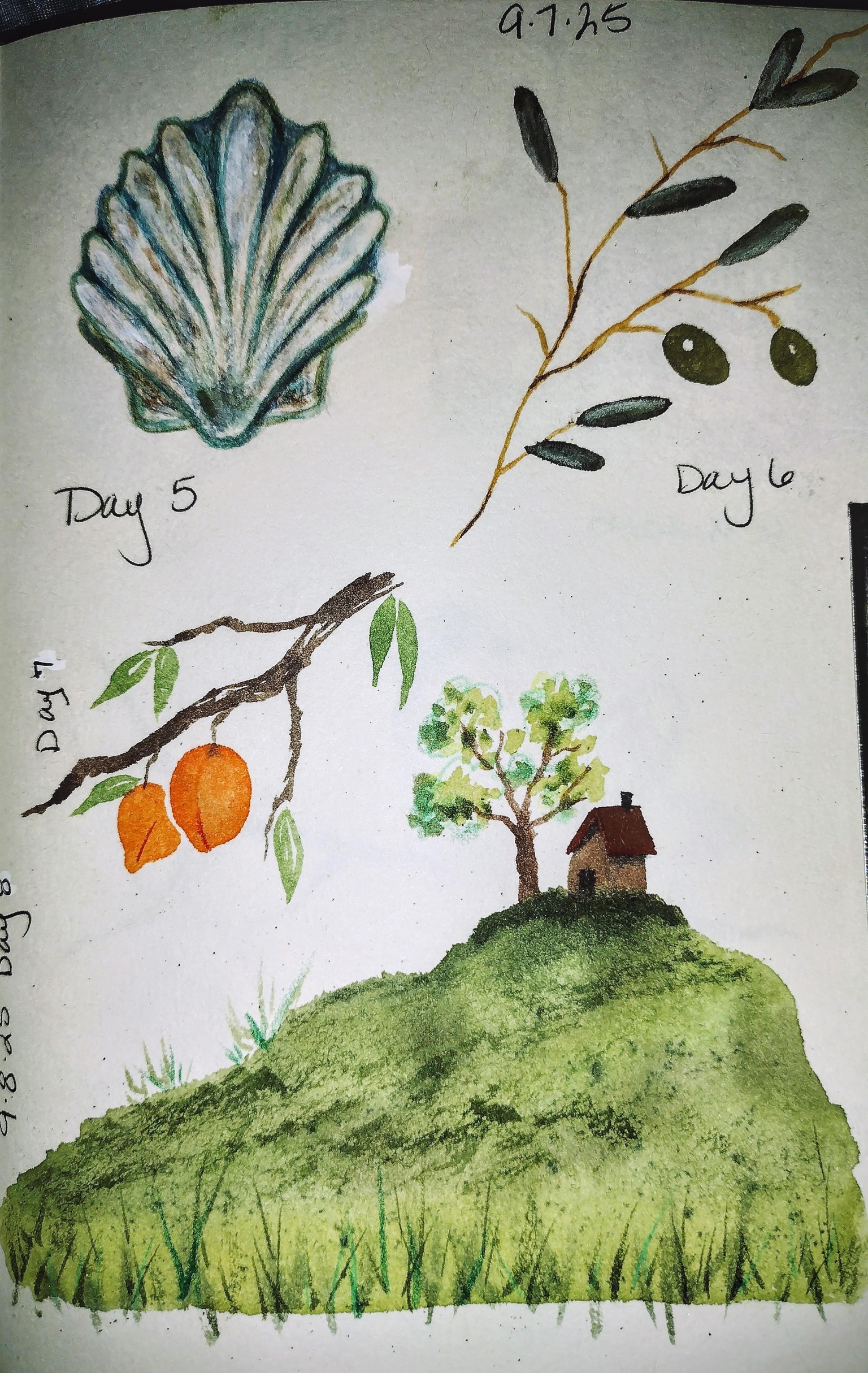 100 day challenge complete! - image 17 - student project