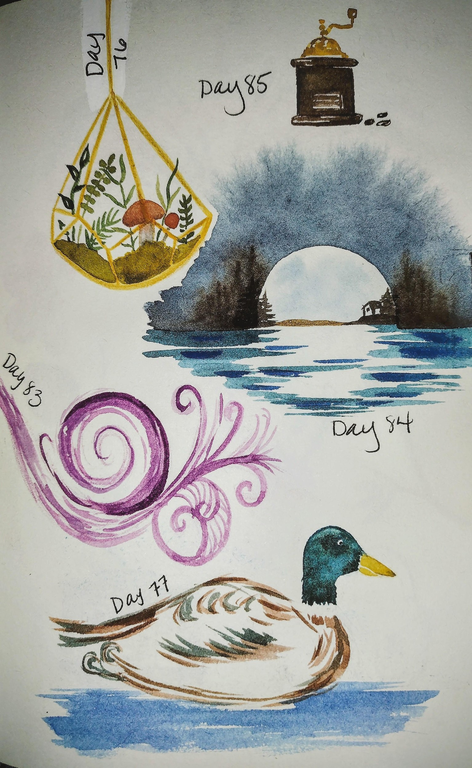 100 day challenge complete! - image 4 - student project