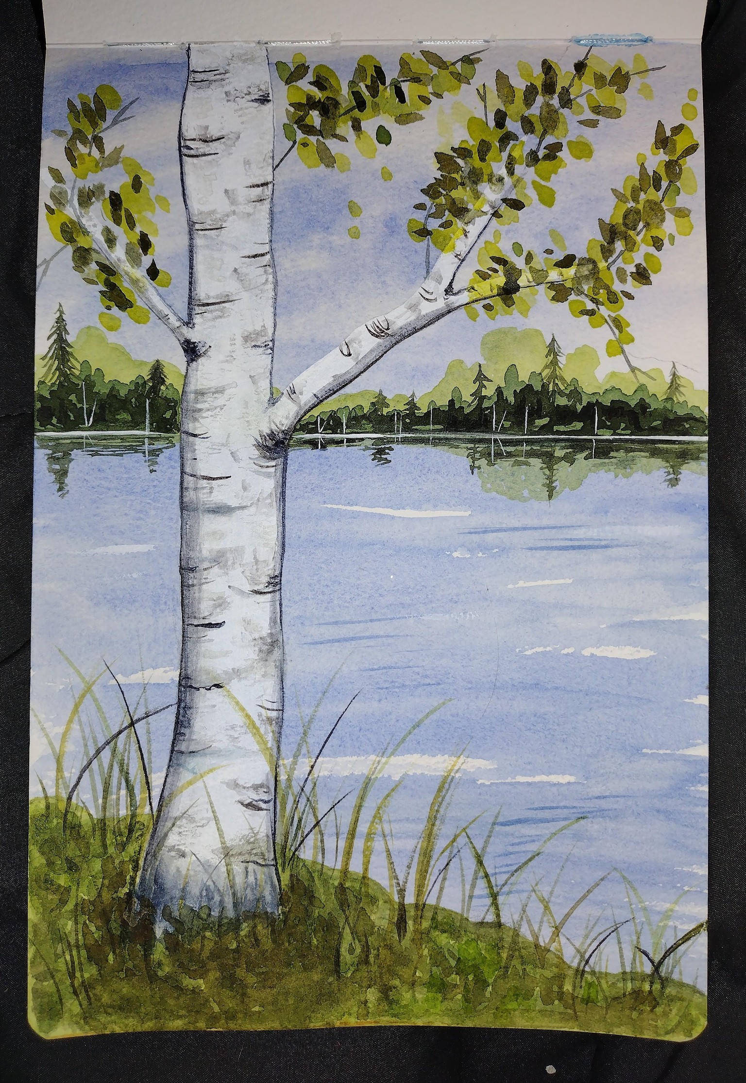 Summer Lake View No Flowers - image 1 - student project