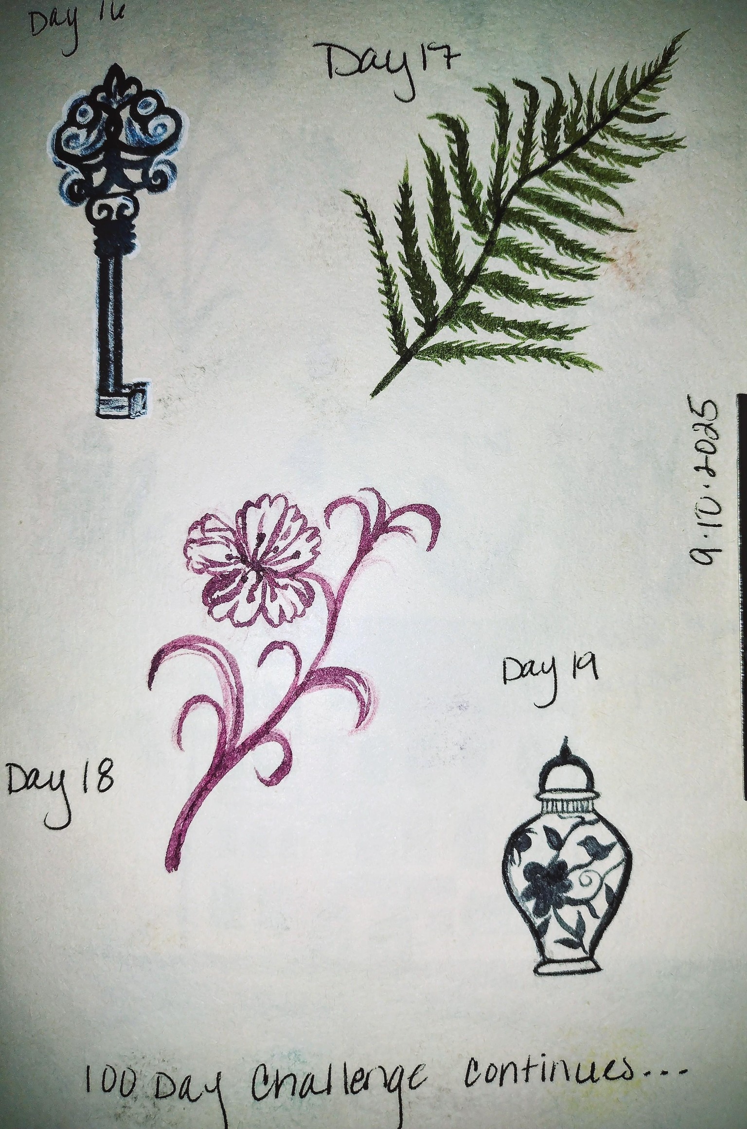 100 day challenge complete! - image 13 - student project