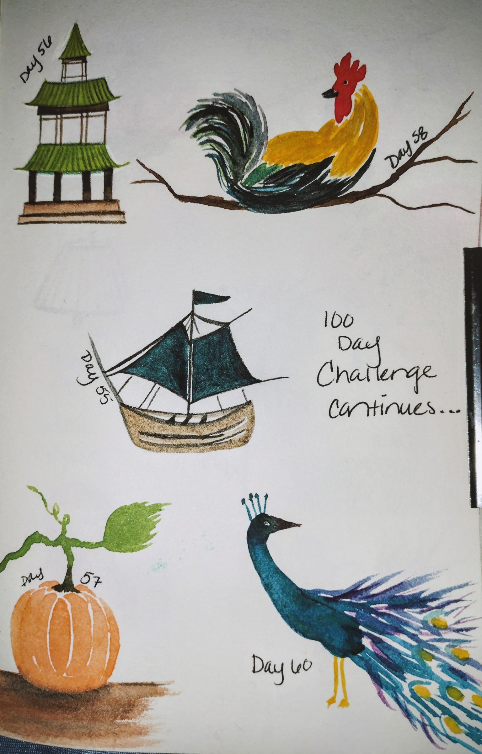100 day challenge complete! - image 8 - student project
