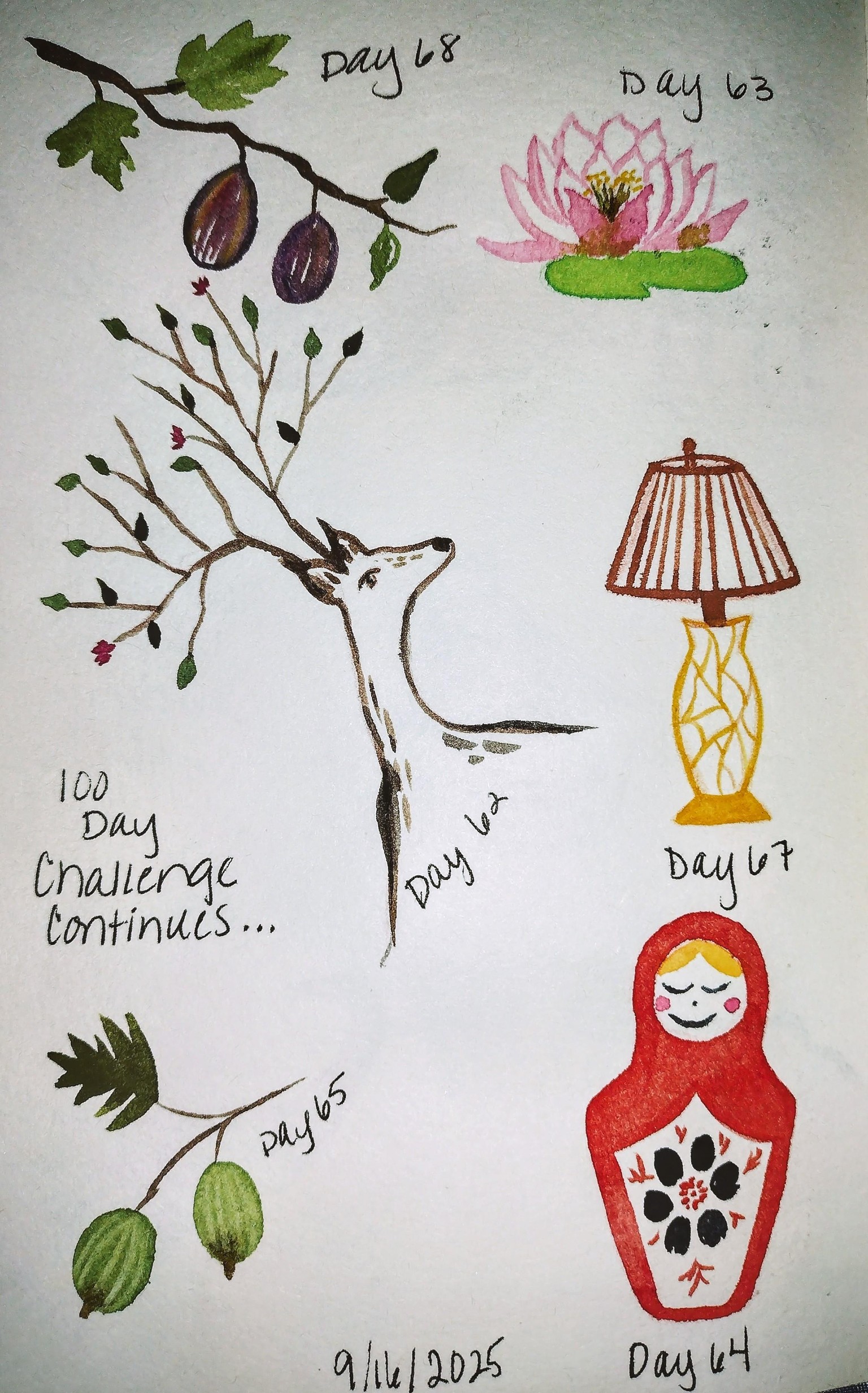 100 day challenge complete! - image 7 - student project