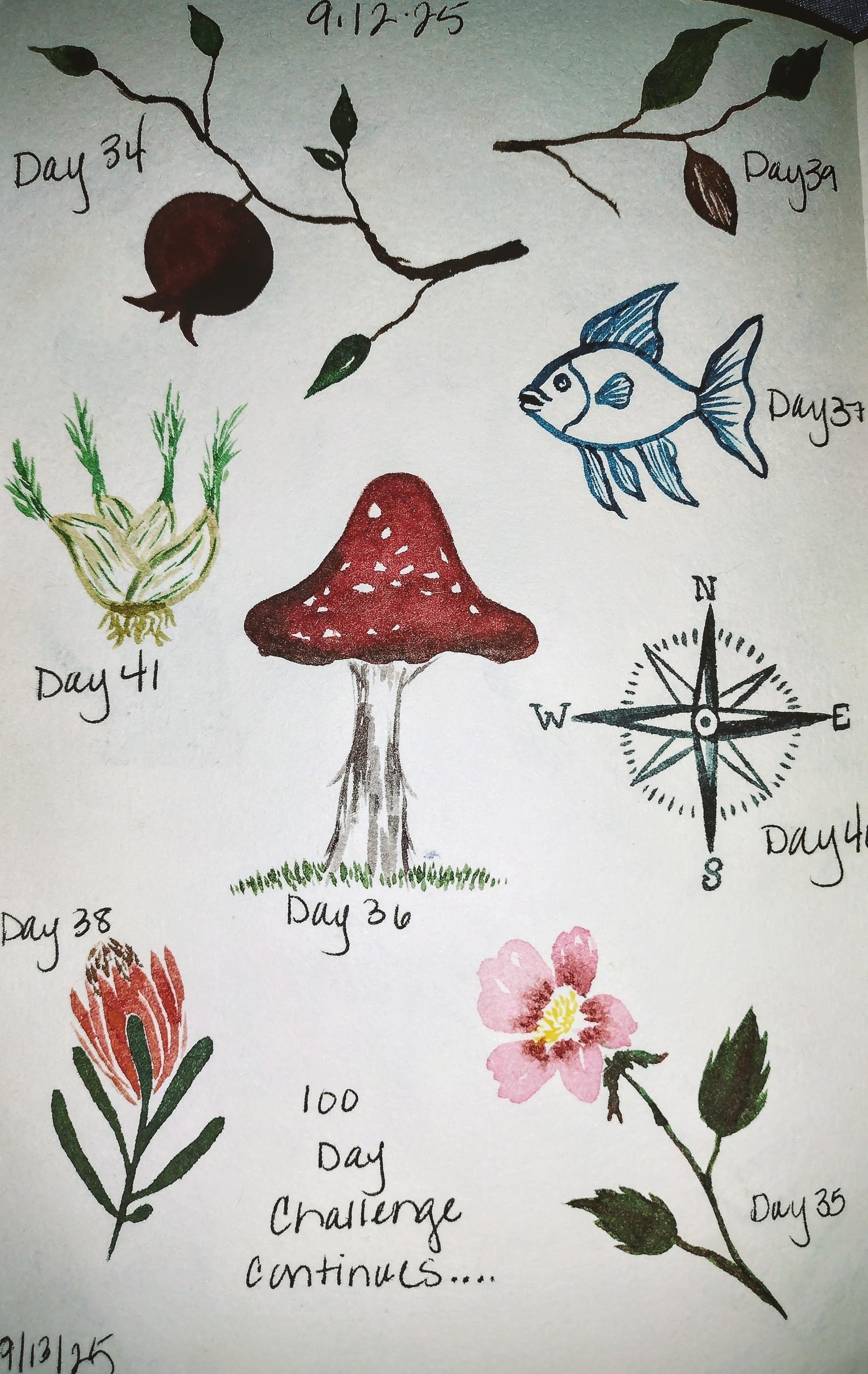 100 day challenge complete! - image 11 - student project