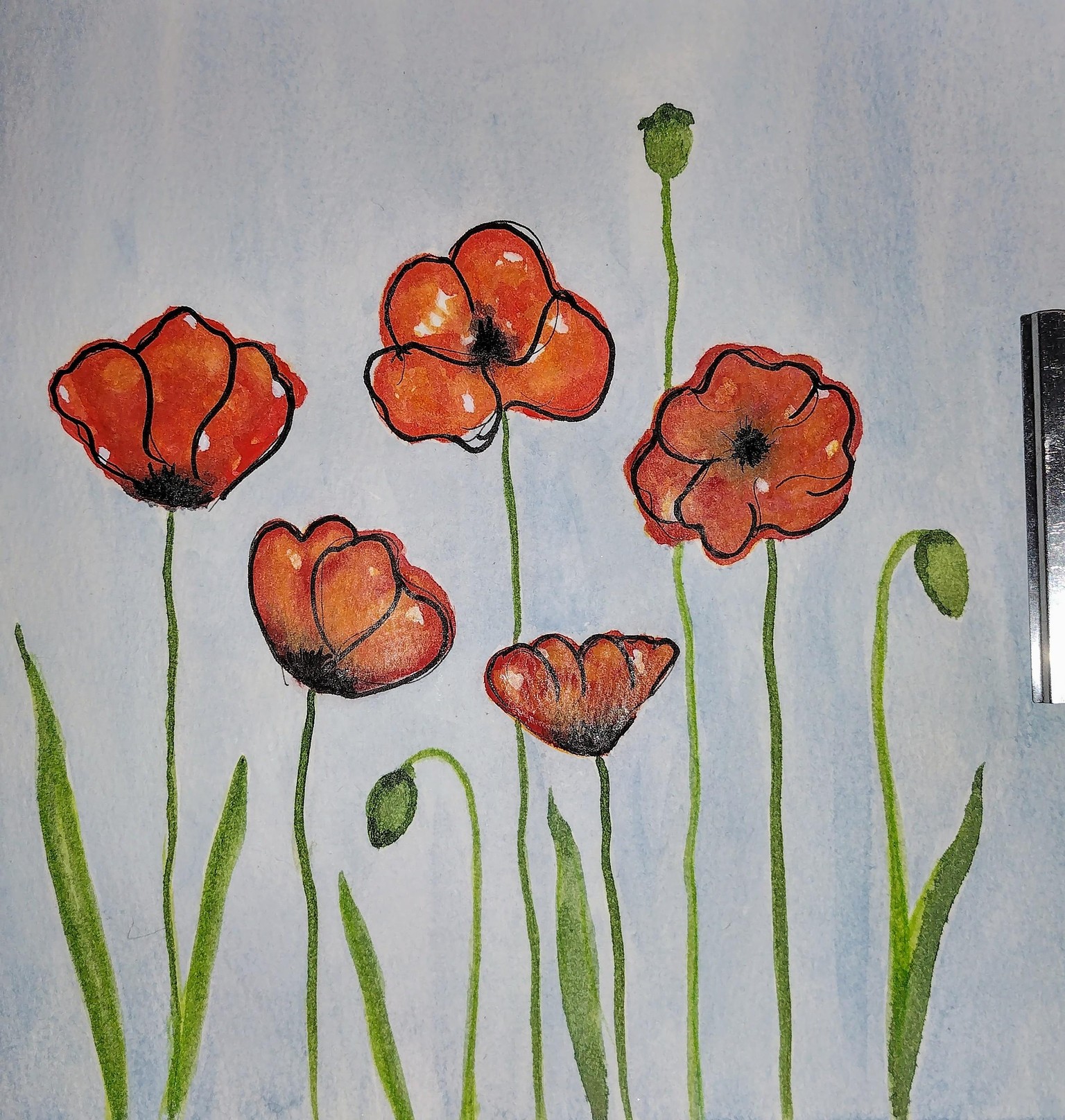 Poppies - image 1 - student project