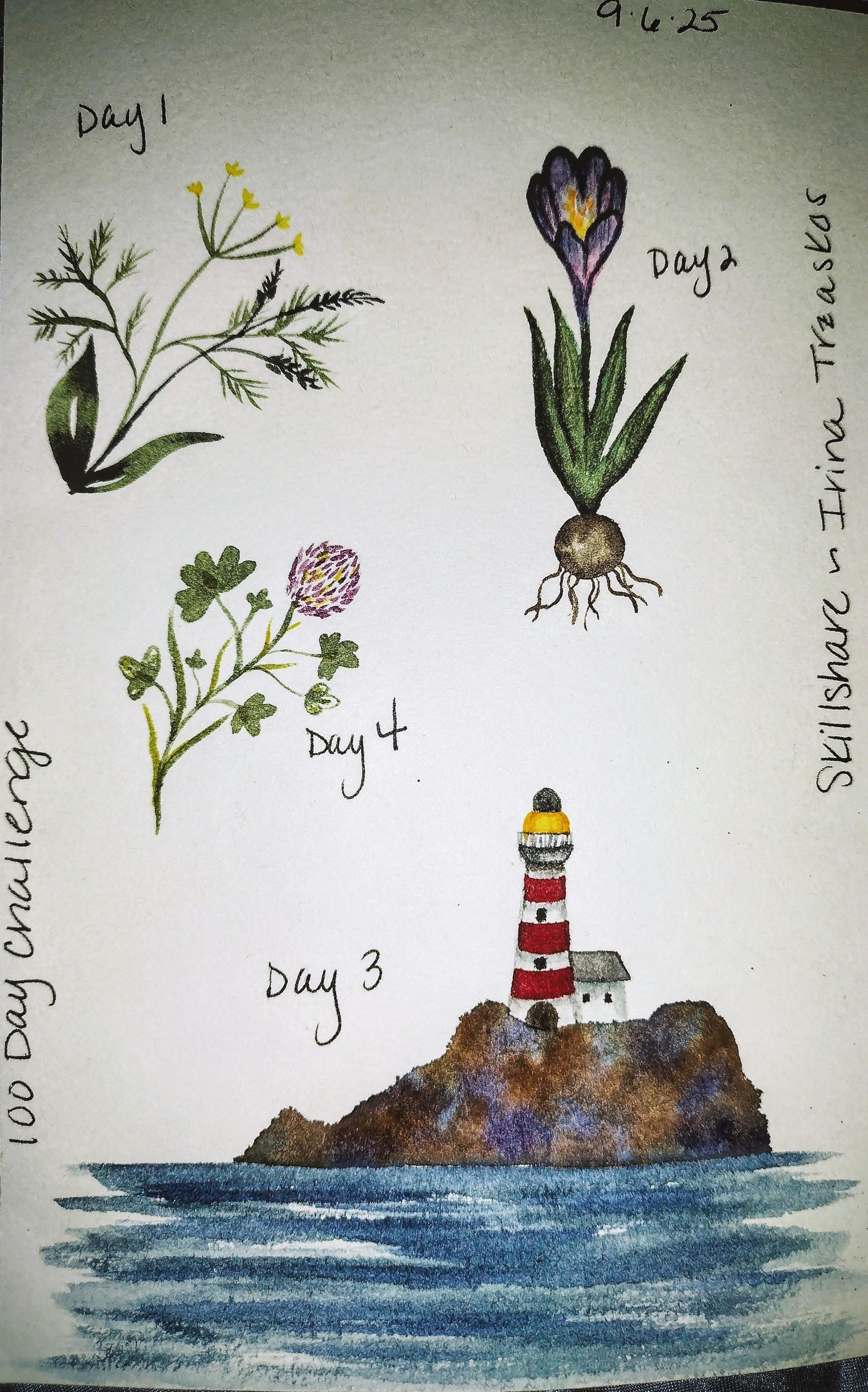100 day challenge complete! - image 18 - student project