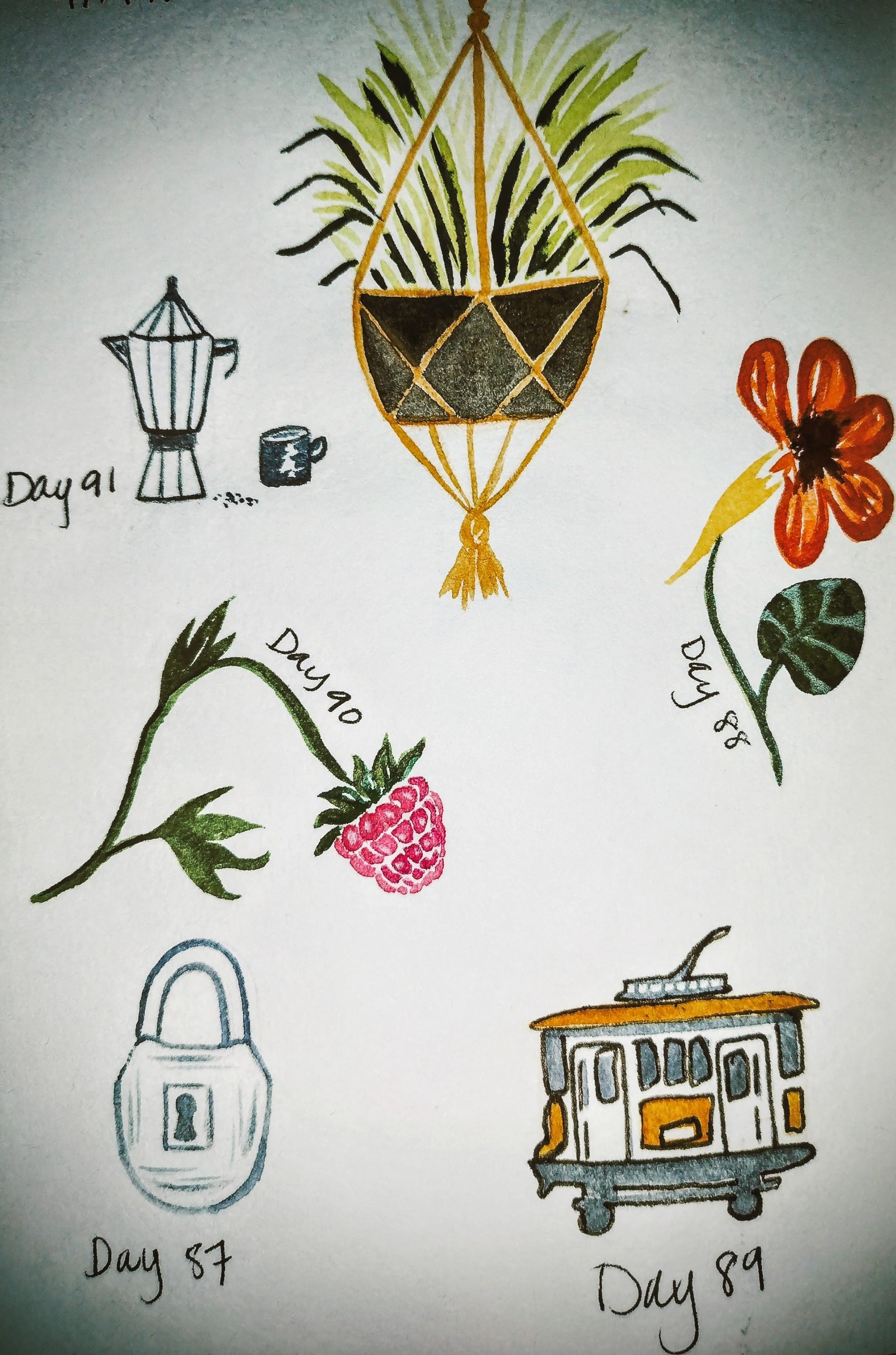 100 day challenge complete! - image 3 - student project