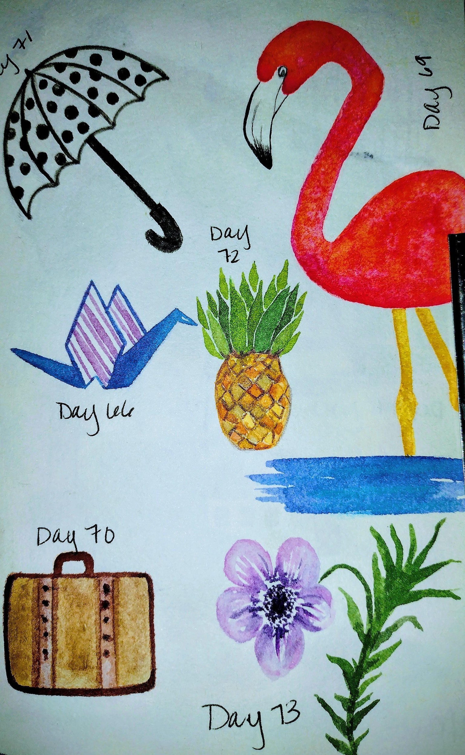 100 day challenge complete! - image 6 - student project
