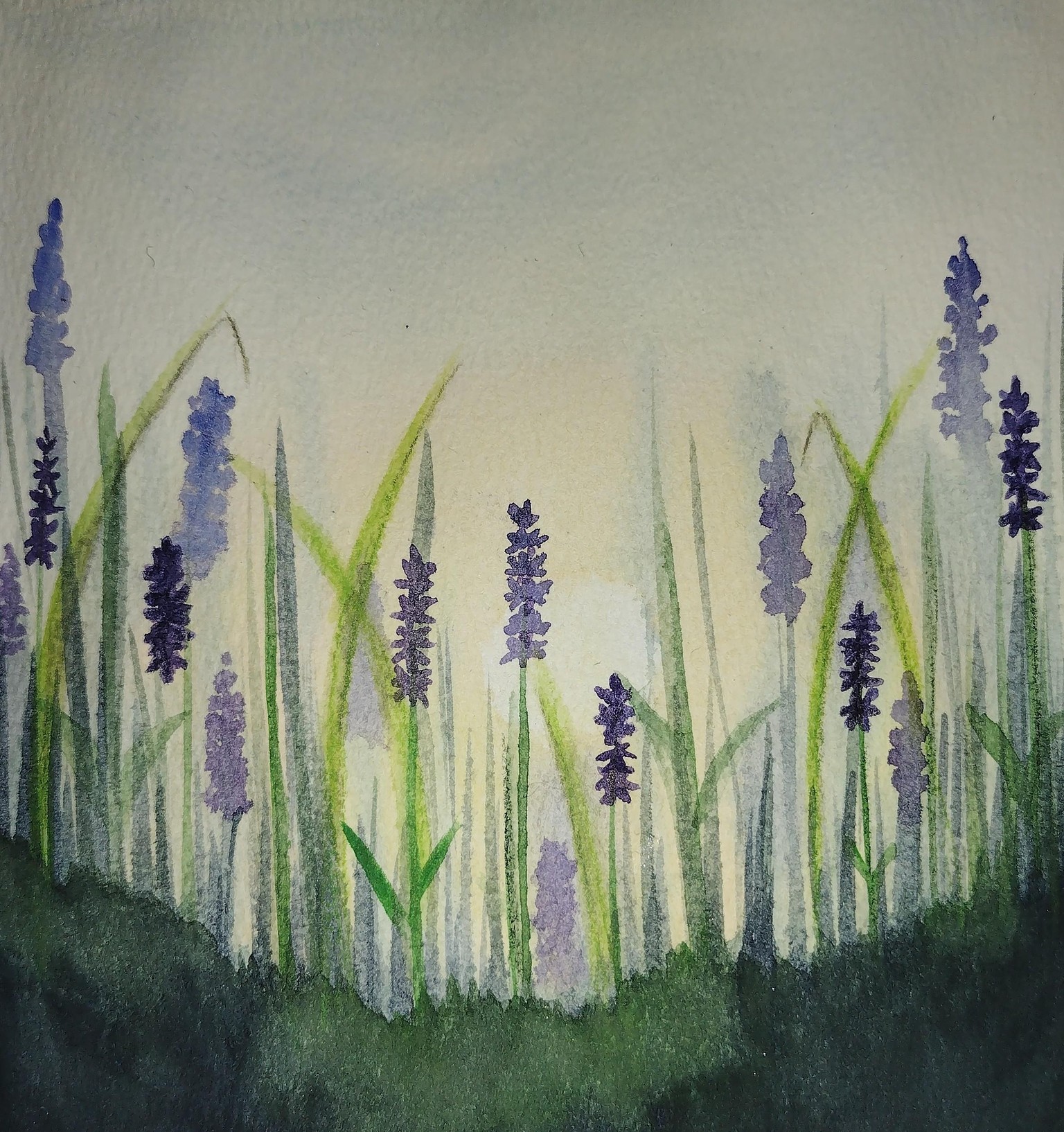 Lavender  - image 1 - student project
