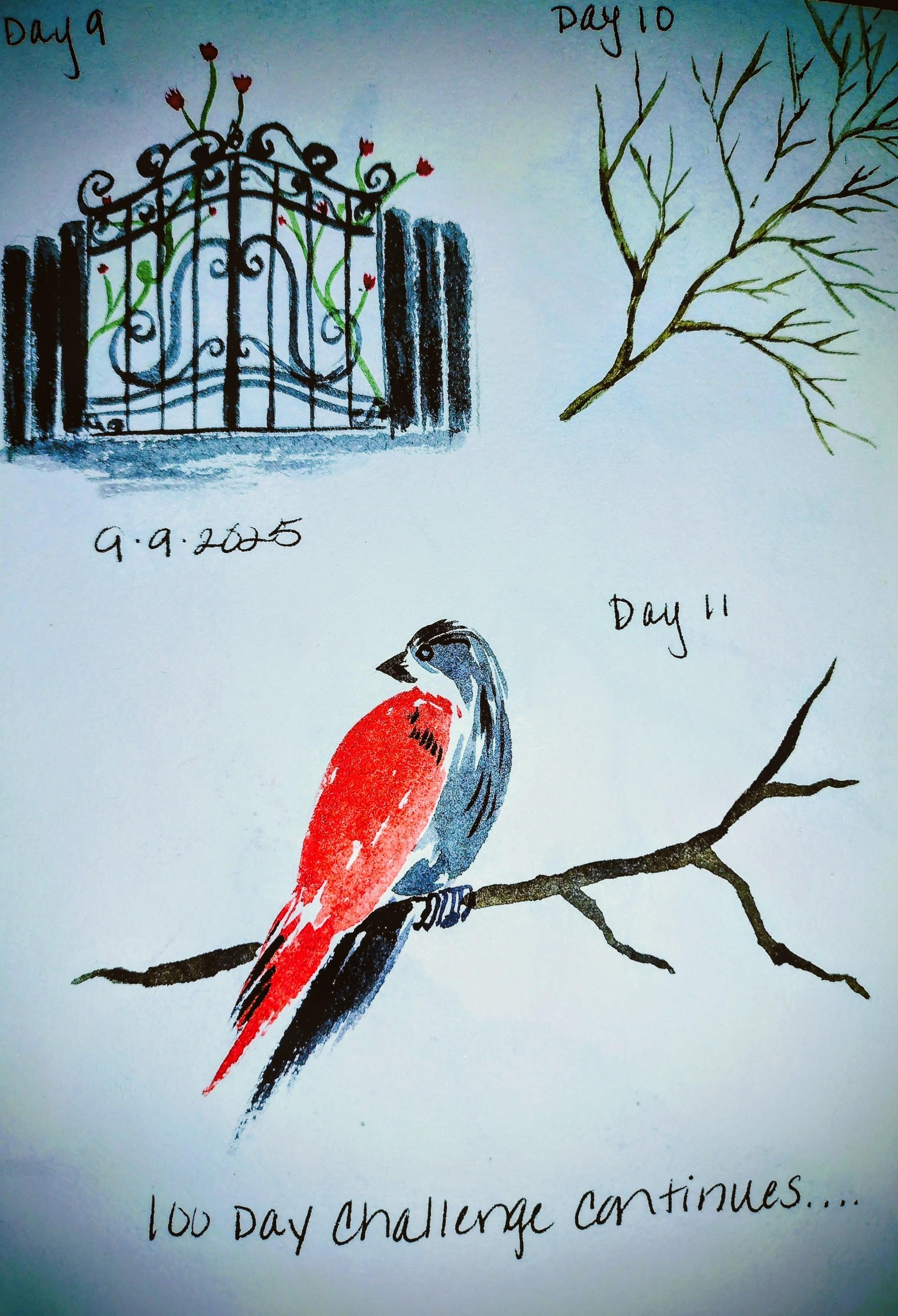 100 day challenge complete! - image 16 - student project